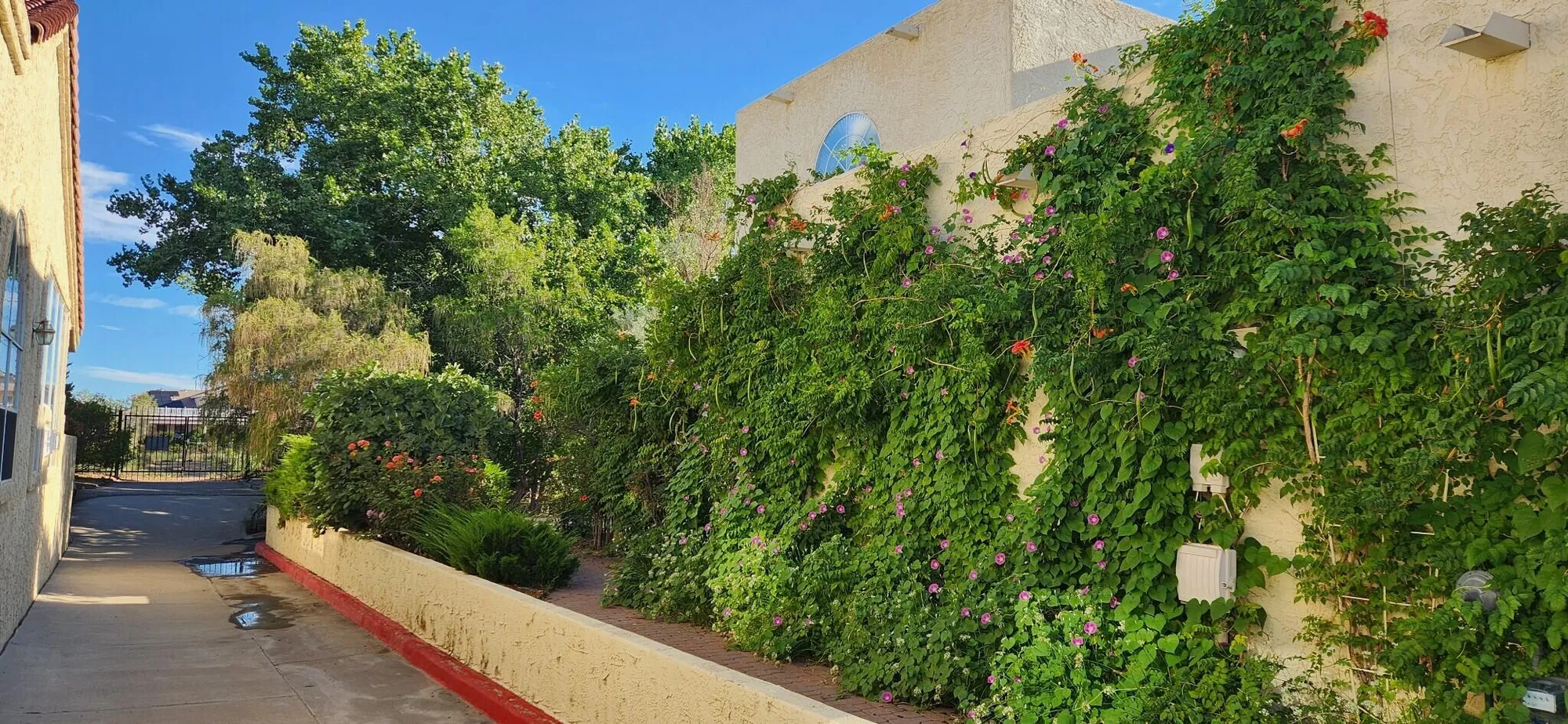 Property Slideshow image 64 of 68 | 582 eastlake dr, Rio Rancho, NM, 87124