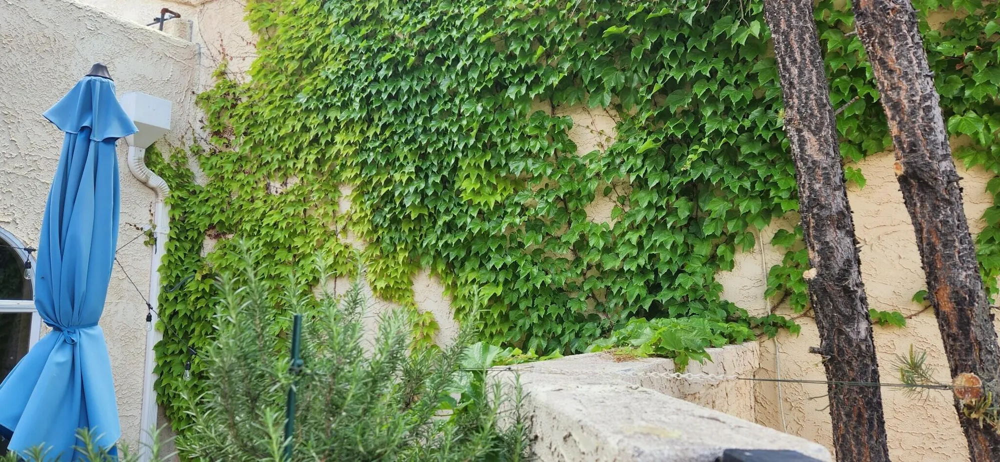 Property Slideshow image 65 of 68 | 582 eastlake dr, Rio Rancho, NM, 87124