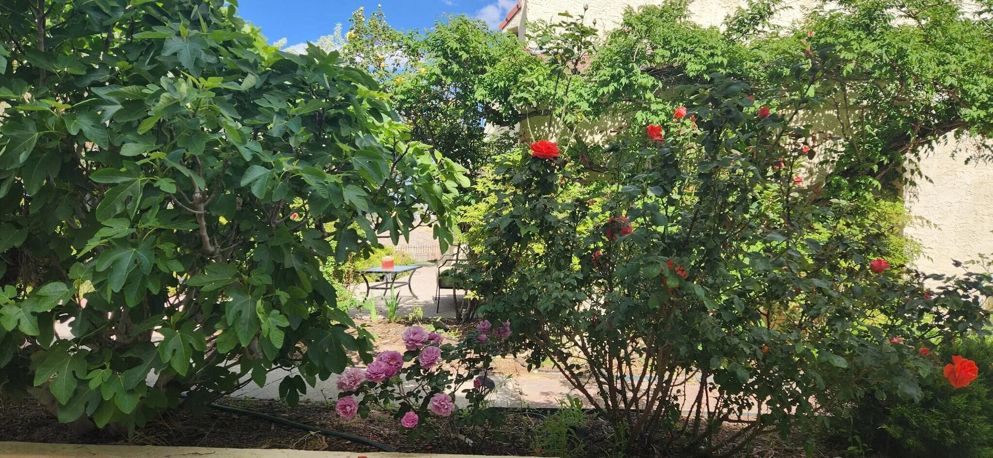 Property Slideshow image 60 of 68 | 582 eastlake dr, Rio Rancho, NM, 87124