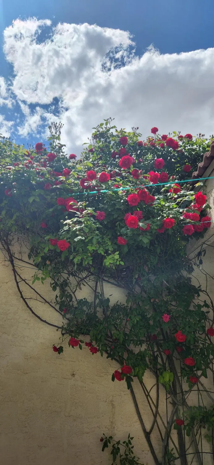 Property Slideshow image 62 of 68 | 582 eastlake dr, Rio Rancho, NM, 87124