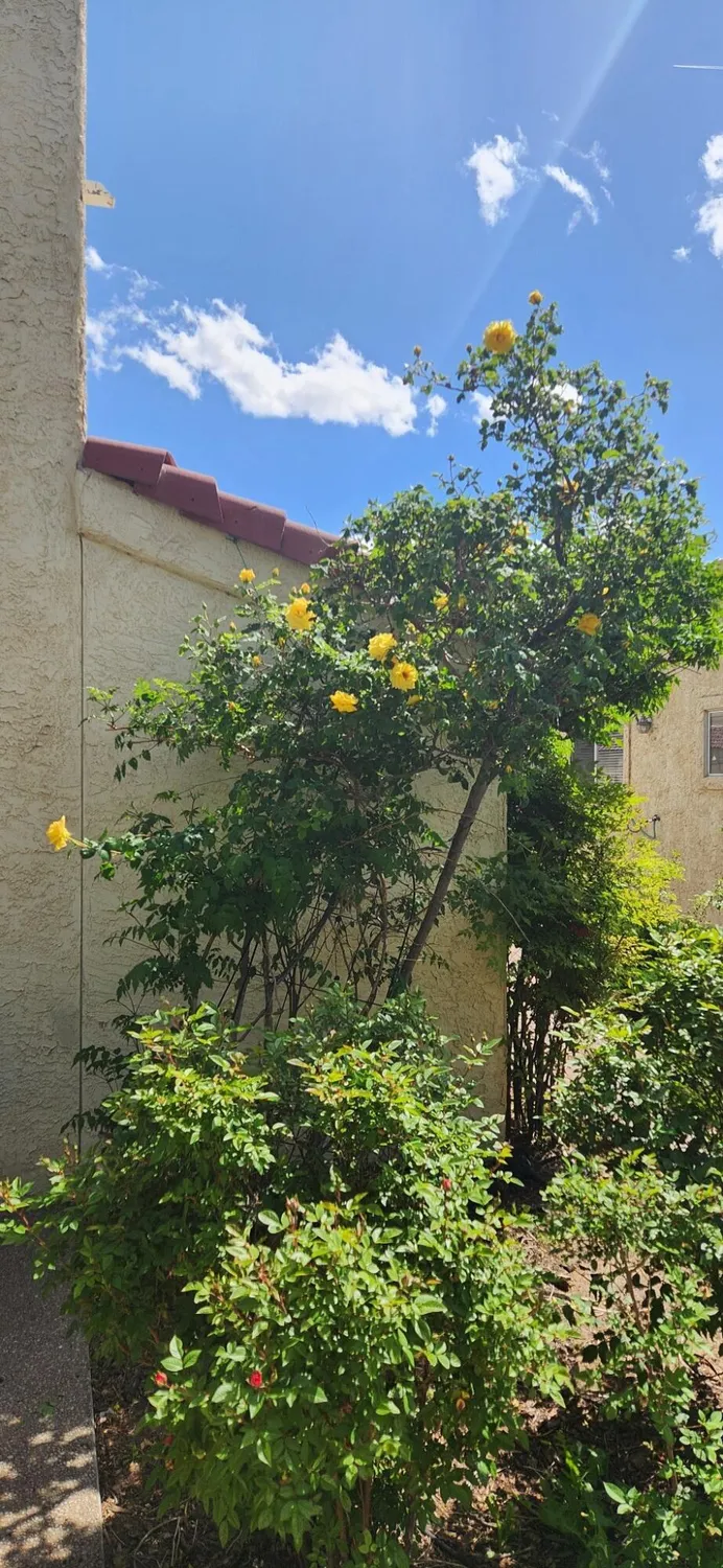 Property Slideshow image 63 of 68 | 582 eastlake dr, Rio Rancho, NM, 87124