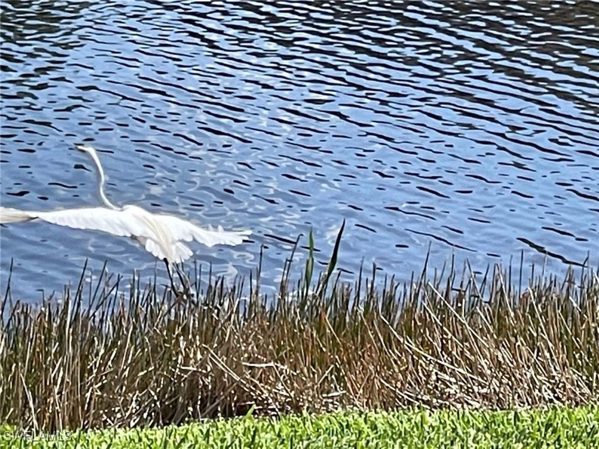 Property Slideshow image 50 of 50 | 8266 promoso ct, Naples, FL, 34114