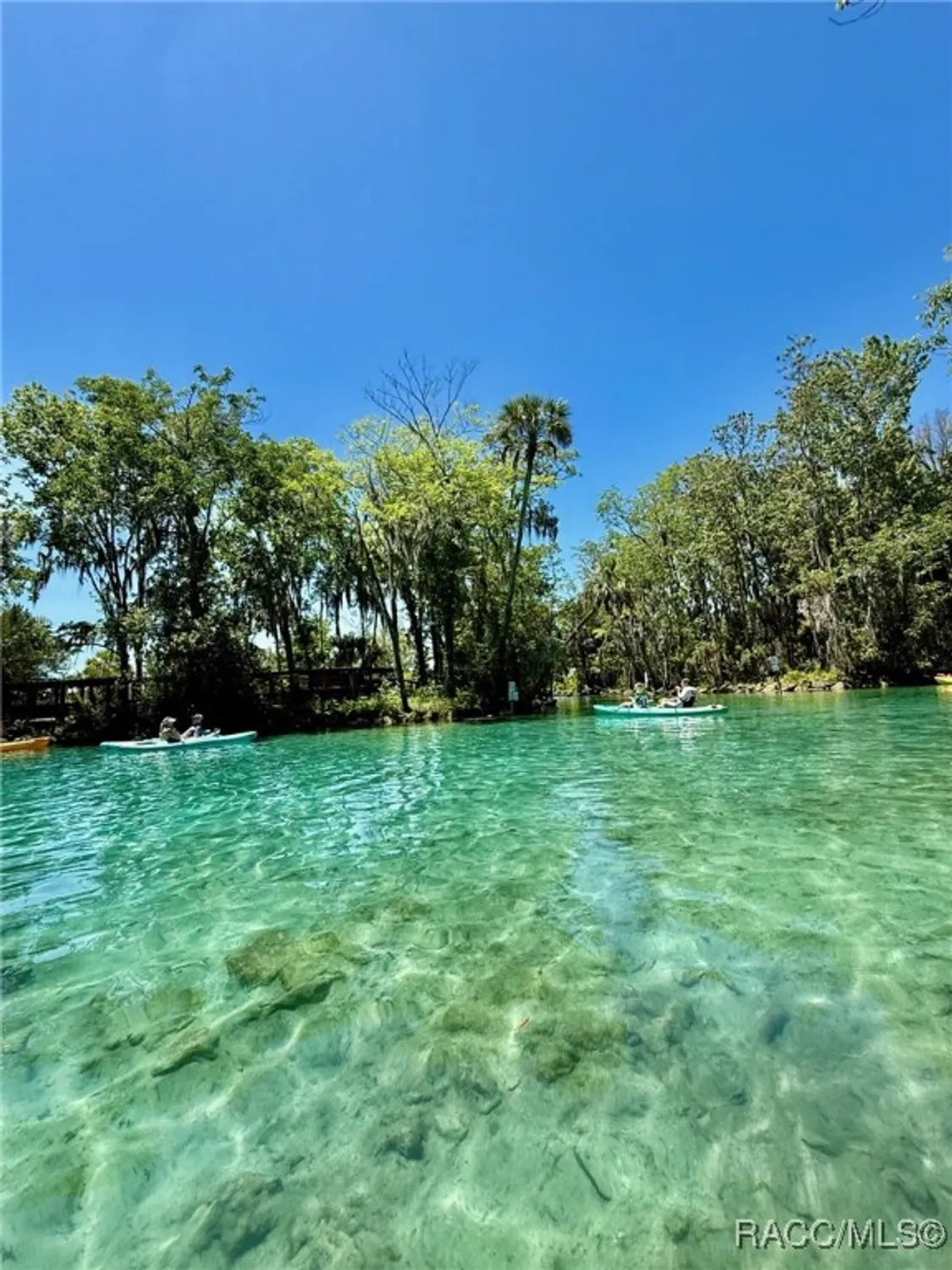 Property Slideshow image 34 of 37 | 1581 n endicott pt, Crystal River, FL, 34429