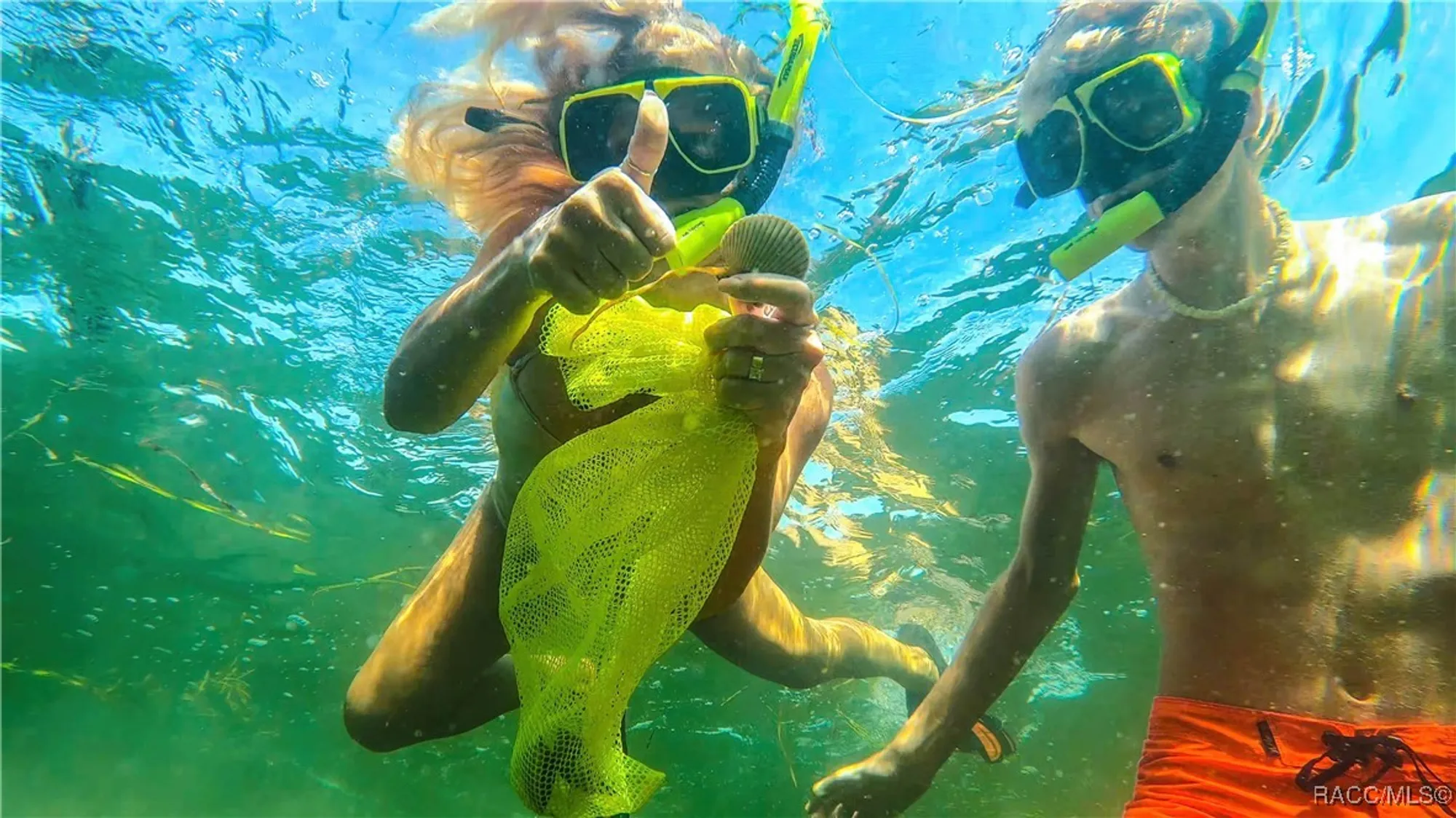 Property Slideshow image 36 of 37 | 1581 n endicott pt, Crystal River, FL, 34429