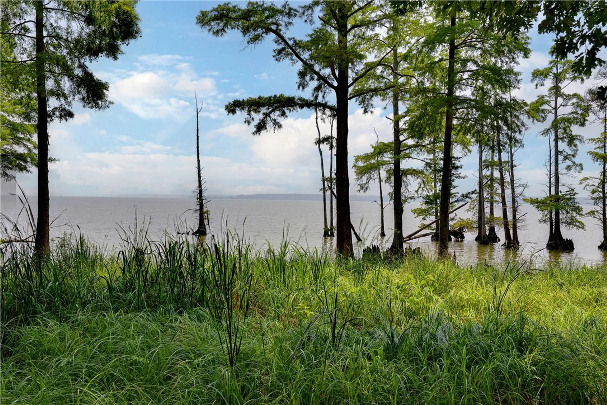 Property Slideshow image 3 of 50 | 3008 kitchums close, Williamsburg, VA, 23185