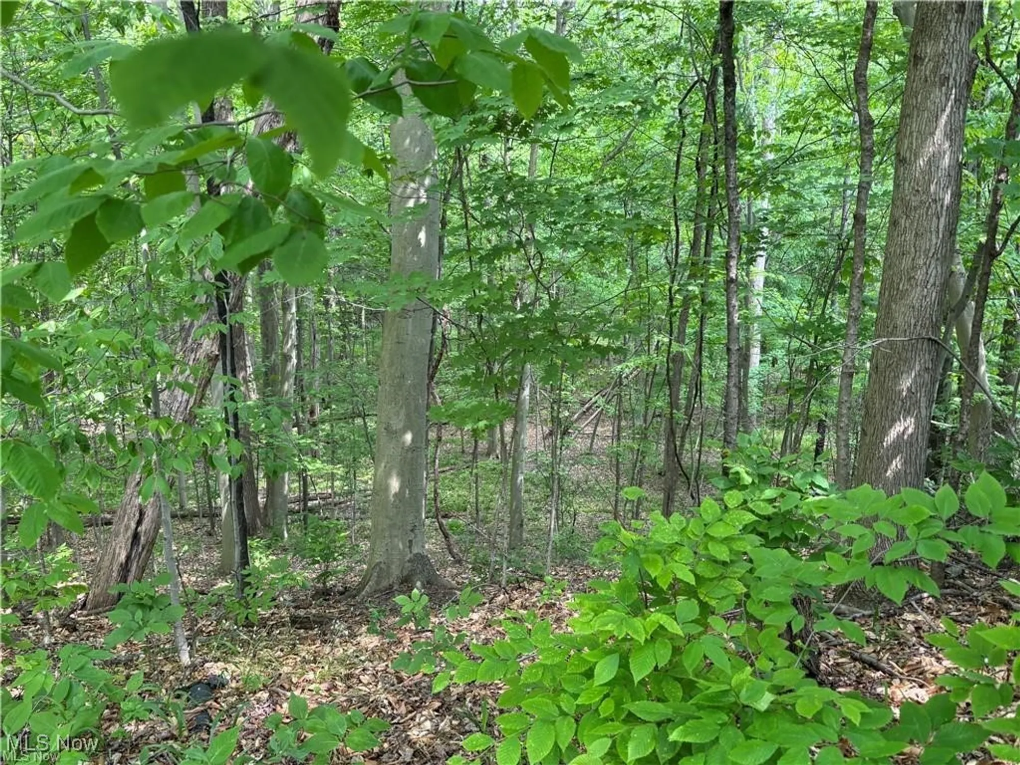 Property Slideshow image 16 of 49 | 10281 river run ln, North Royalton, OH, 44133