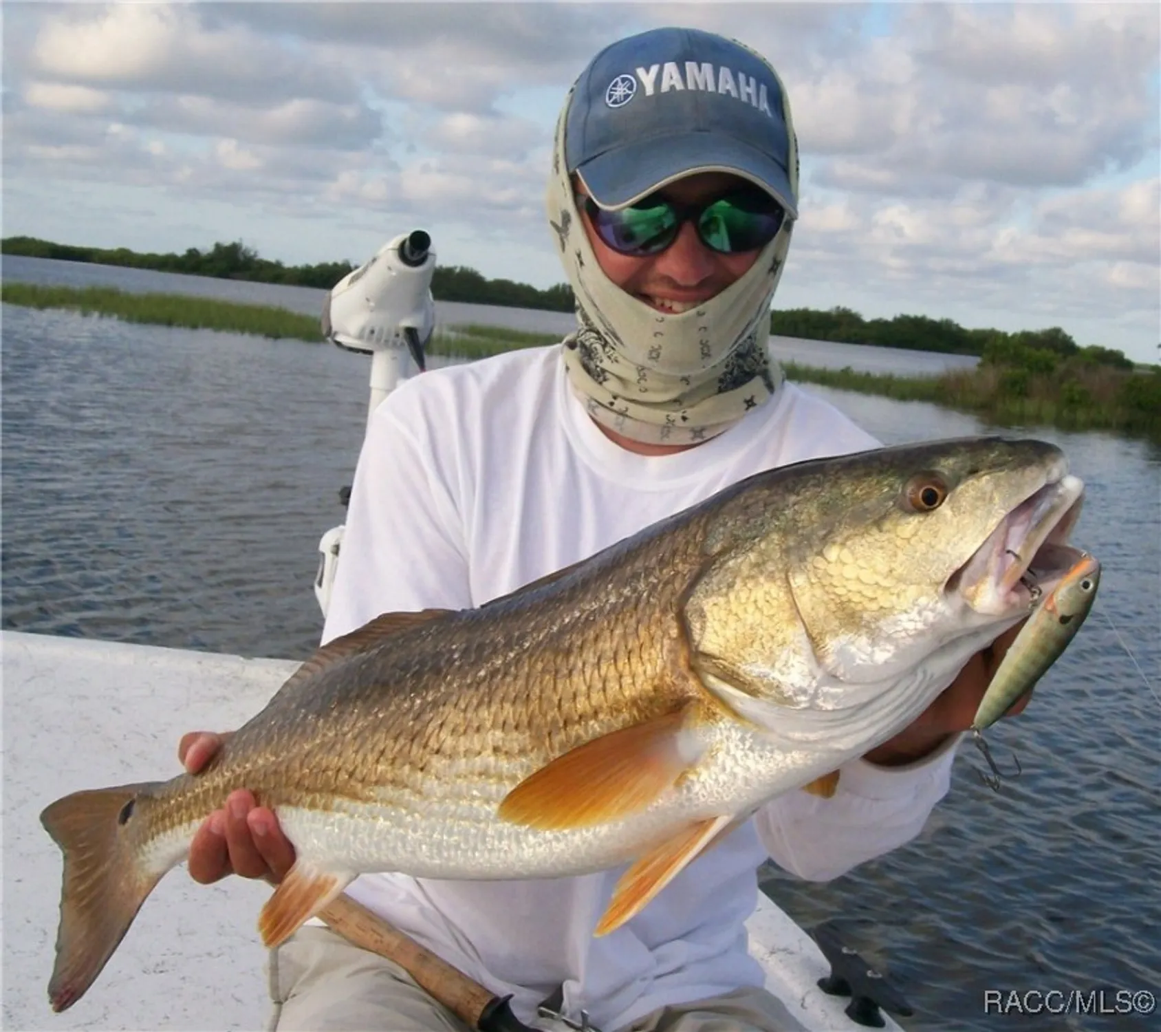 Property Slideshow image 77 of 86 | 1500 w alton bay pl, Hernando, FL, 34442