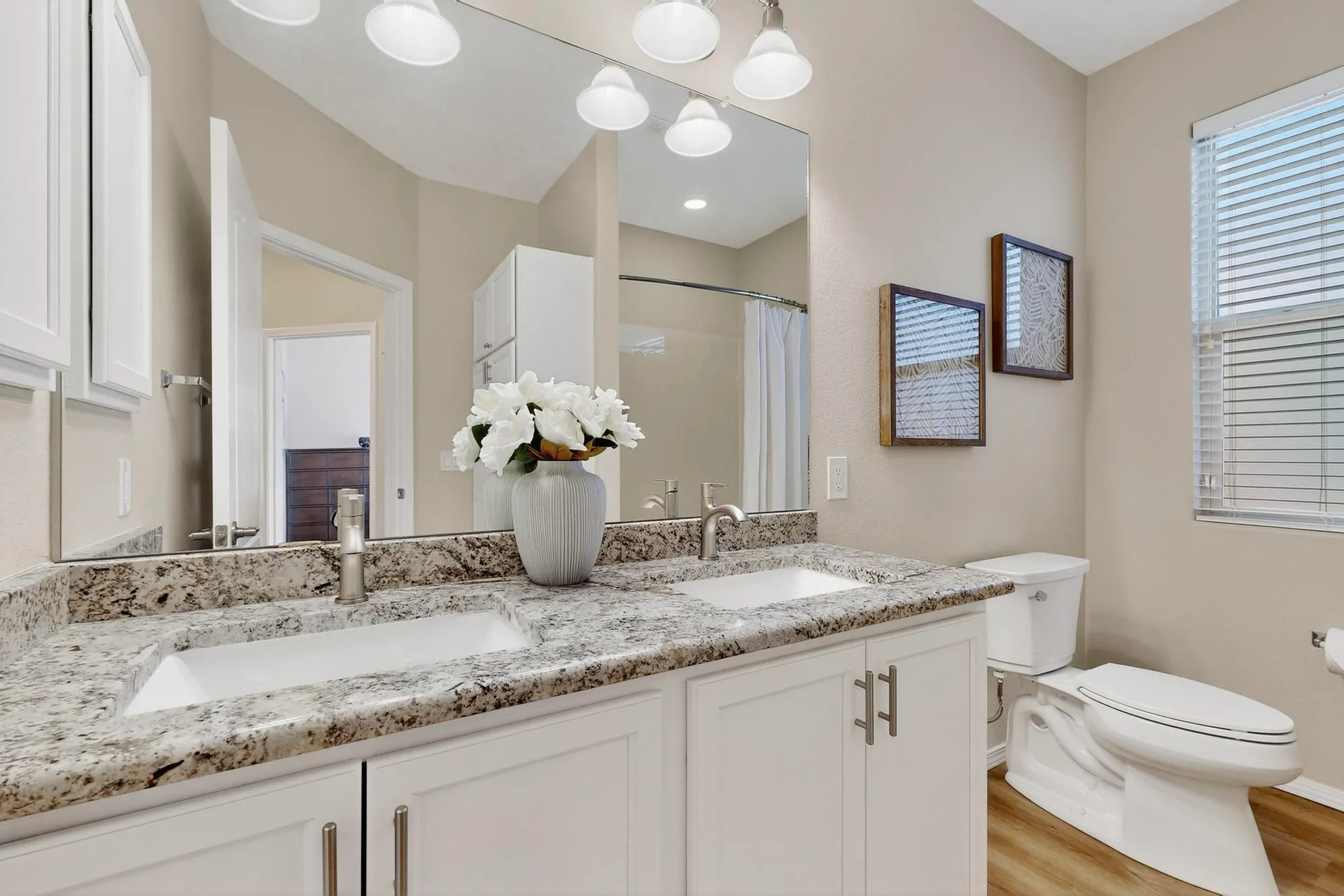 Property Slideshow image 16 of 46 | 806 purple aster, Bernalillo, NM, 87004