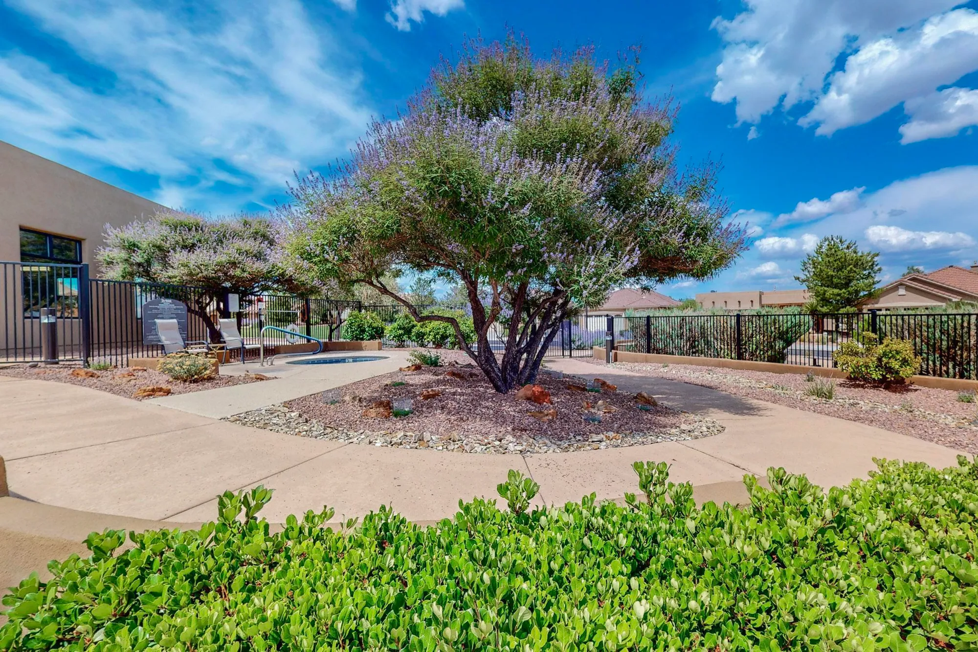 Property Slideshow image 37 of 46 | 806 purple aster, Bernalillo, NM, 87004