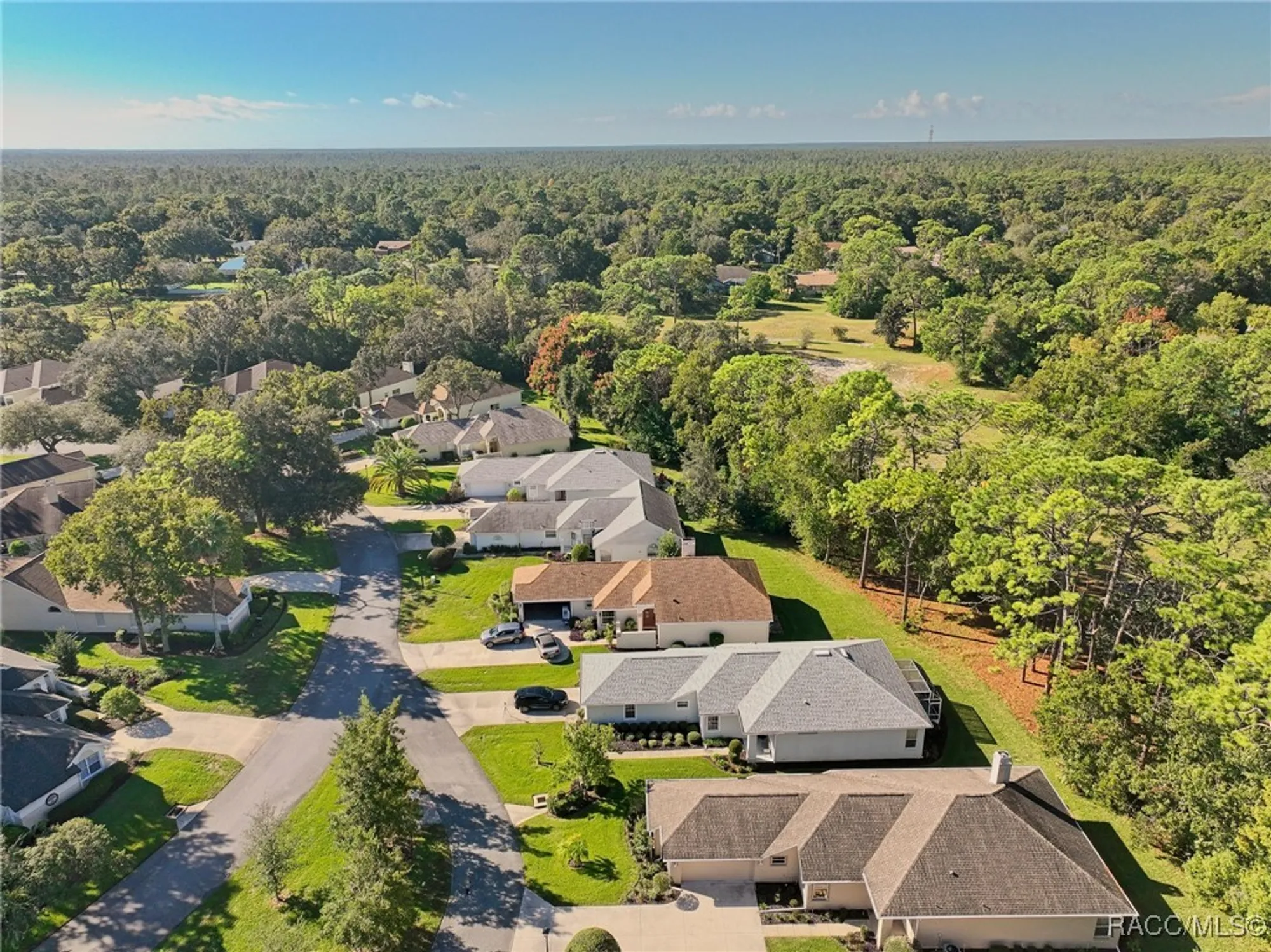 Property Slideshow image 44 of 48 | 6 w byrsonima loop, Homosassa, FL, 34446