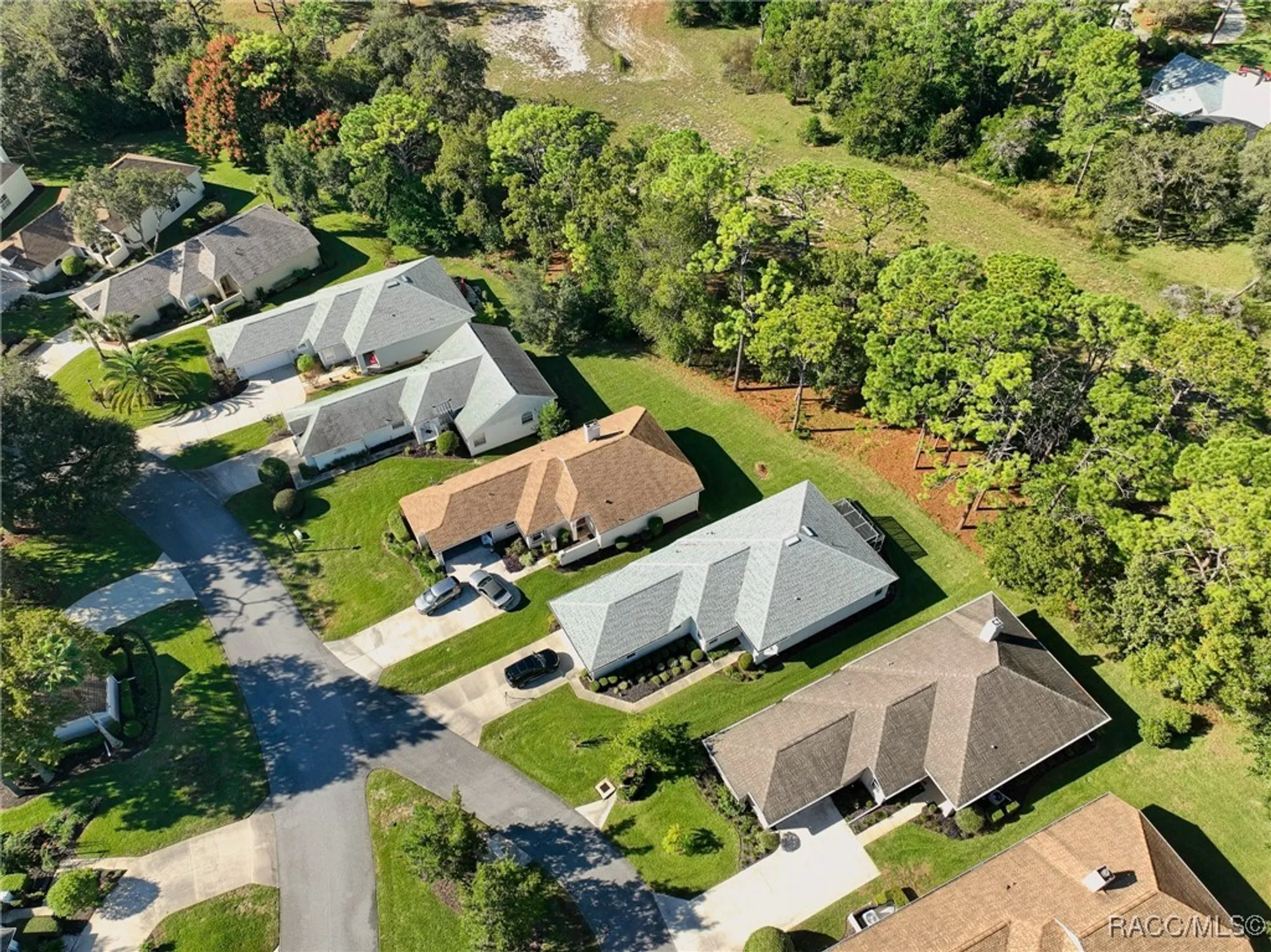 Property Slideshow image 43 of 48 | 6 w byrsonima loop, Homosassa, FL, 34446