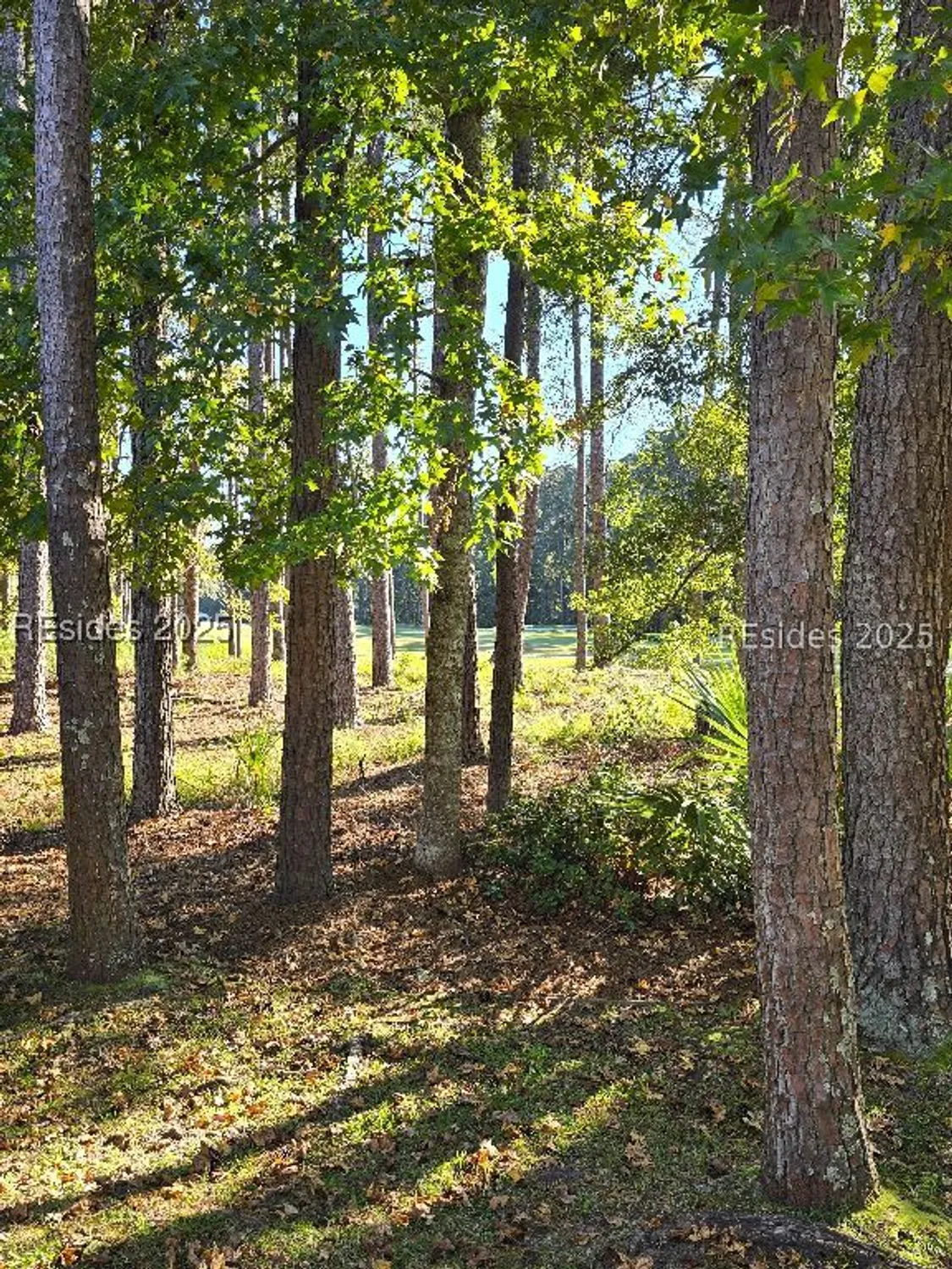 Property Slideshow image 55 of 66 | 109 general drayton st, Bluffton, SC, 29909
