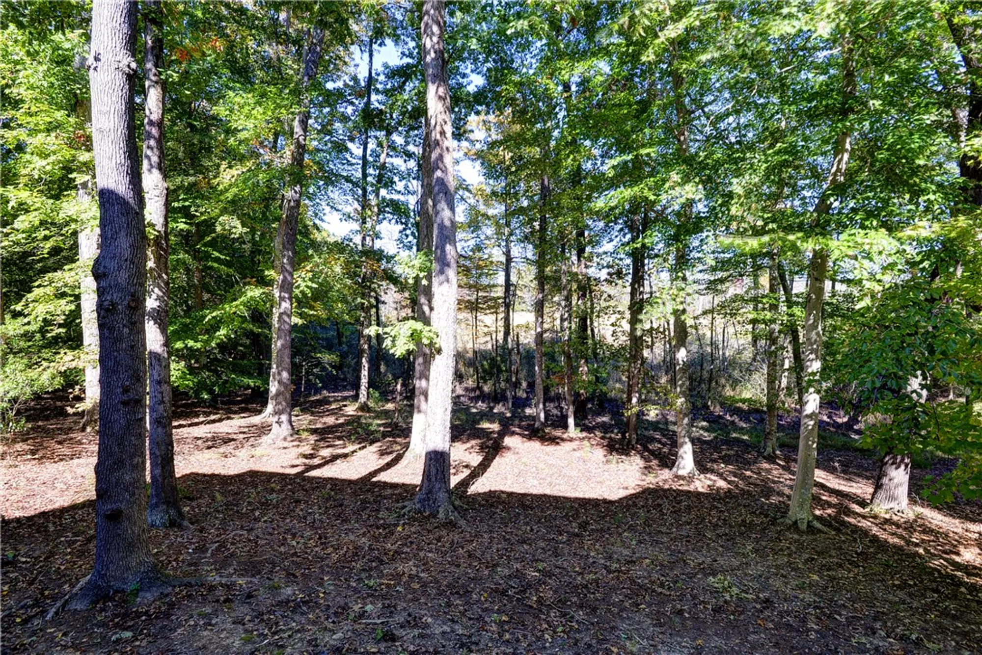 Property Slideshow image 47 of 50 | 1621 river rdg, Williamsburg, VA, 23185