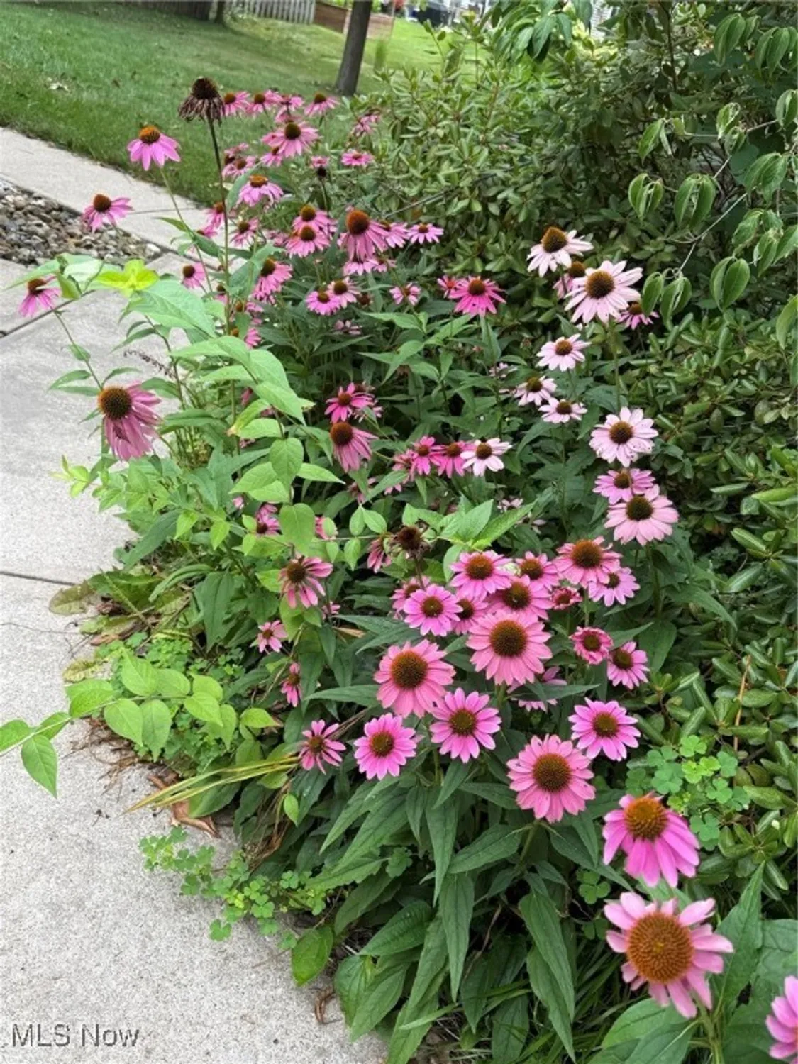 Property Slideshow image 33 of 37 | 8746 barton dr, Strongsville, OH, 44149