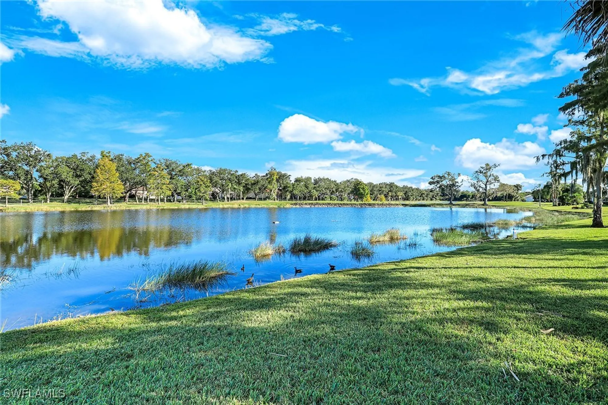 Property Slideshow image 3 of 23 | 12615 cold stream dr, Fort Myers, FL, 33912