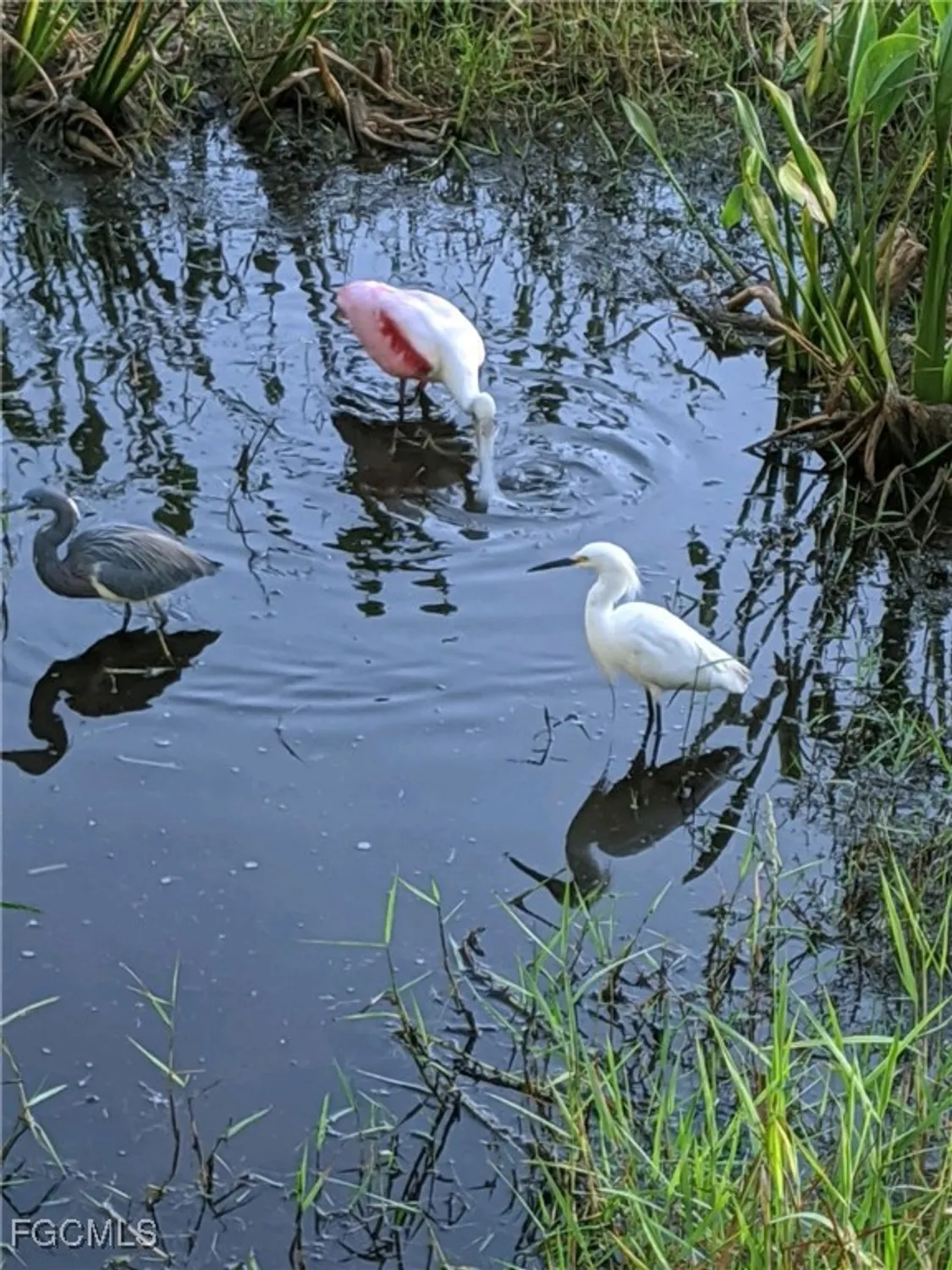 Property Slideshow image 43 of 47 | 10125 colonial country club blvd 1707, Fort Myers, FL, 33913