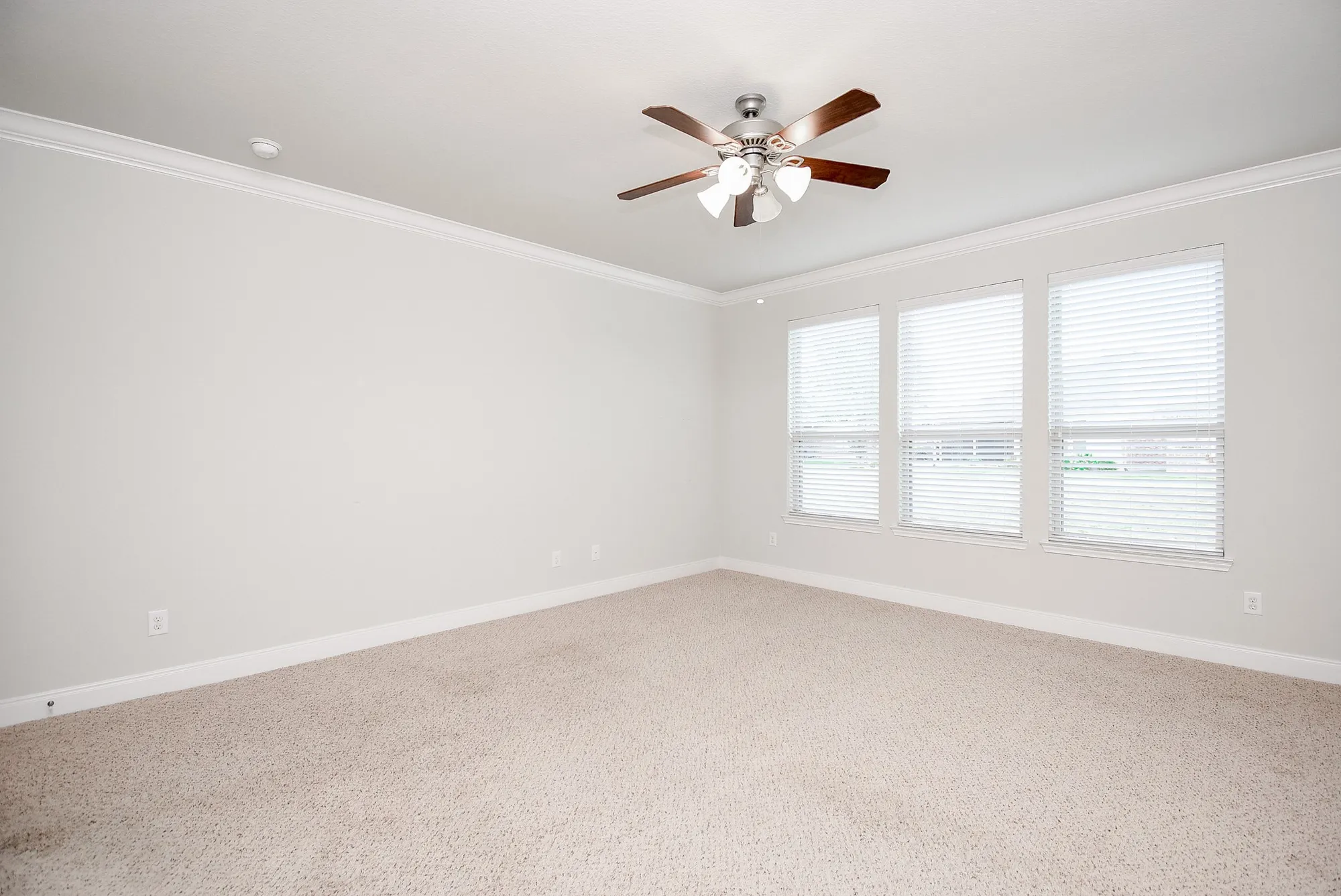 Property Slideshow image 27 of 48 | 809 cardinal flower dr, Richmond, TX, 77469