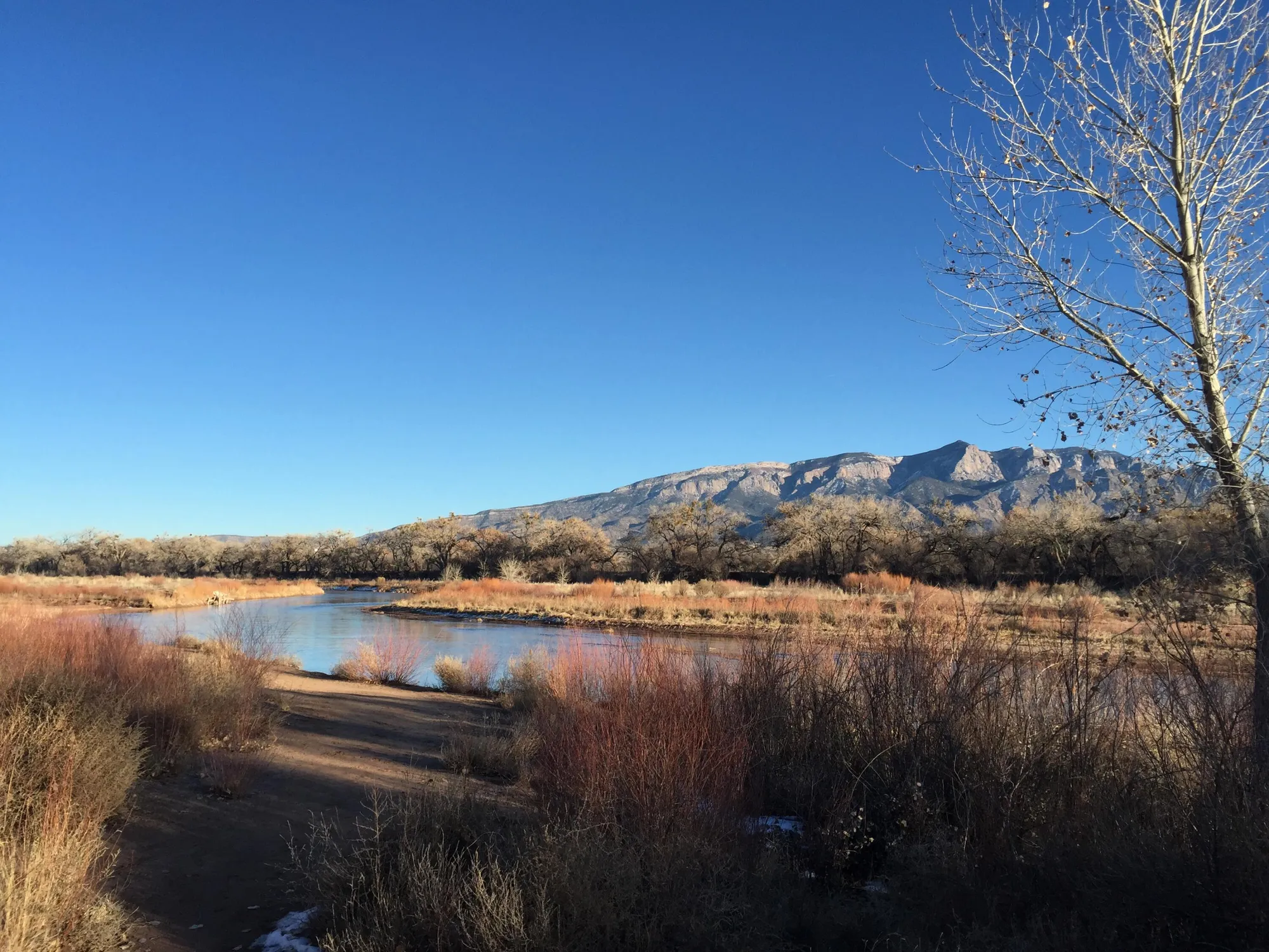 Property Slideshow image 50 of 51 | 977 salt cedar ct, Bernalillo, NM, 87004