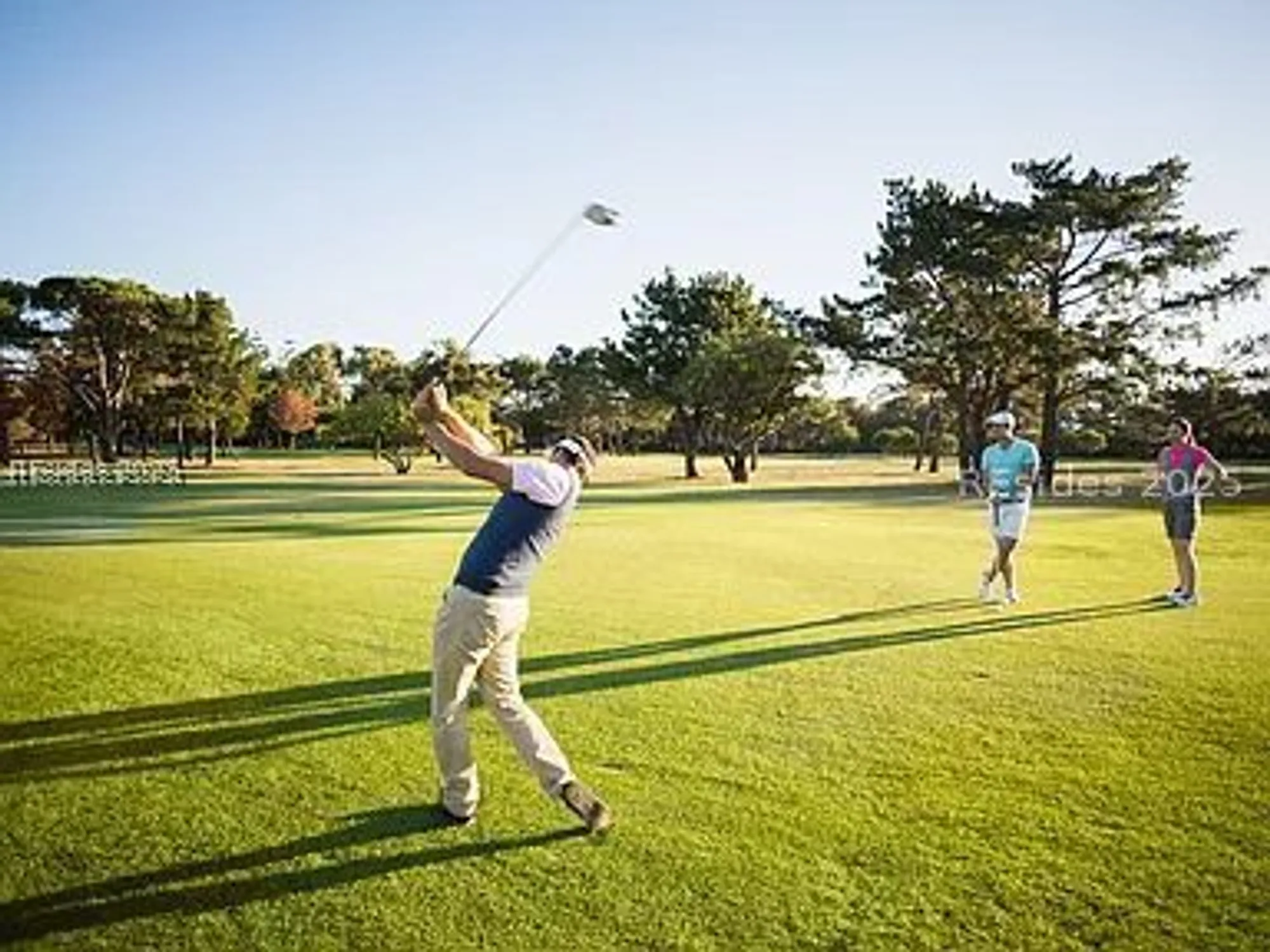 Property Slideshow image 38 of 43 | 409 dreher dr, Hardeeville, SC, 29927