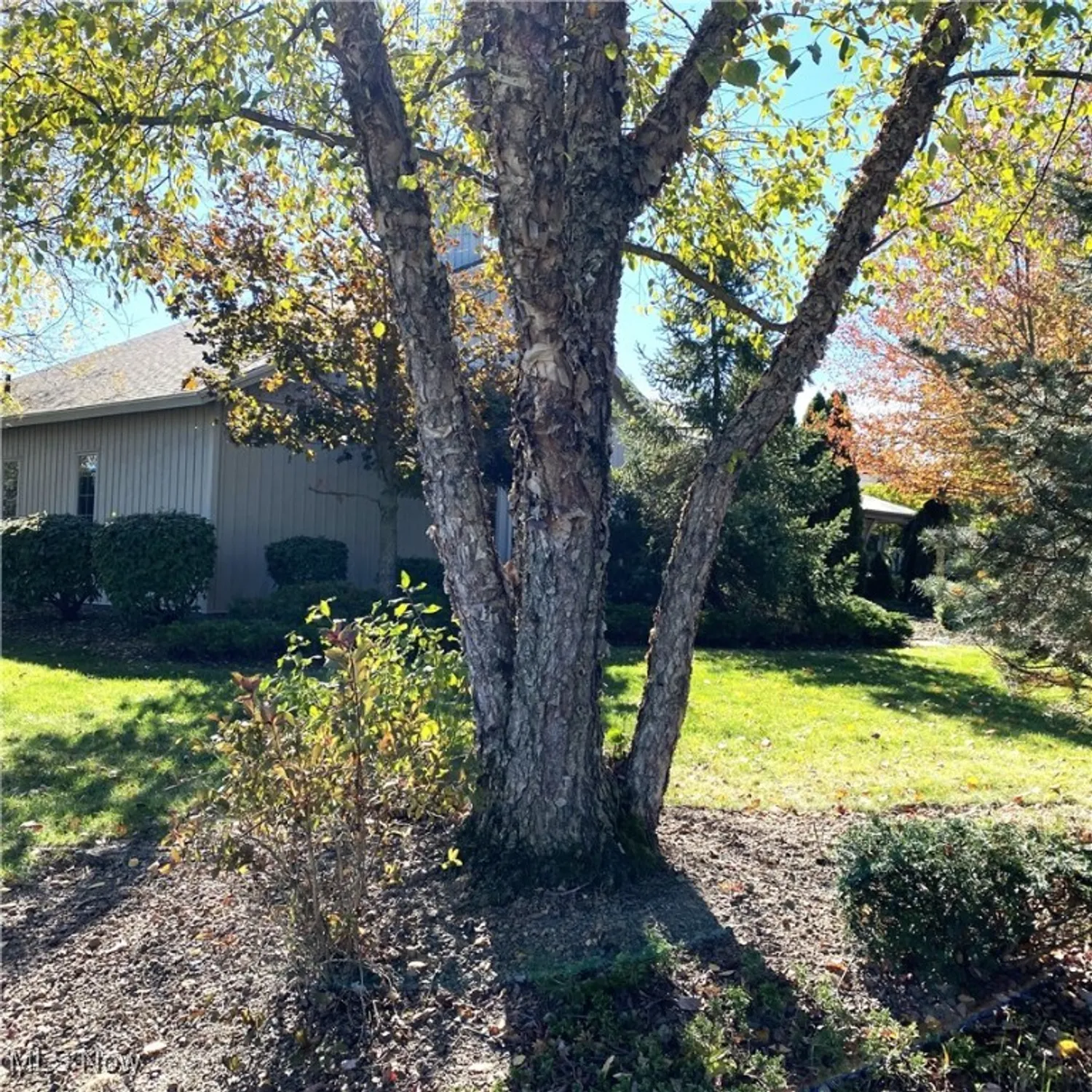 Property Slideshow image 35 of 35 | 33110 wren haven st, North Ridgeville, OH, 44039