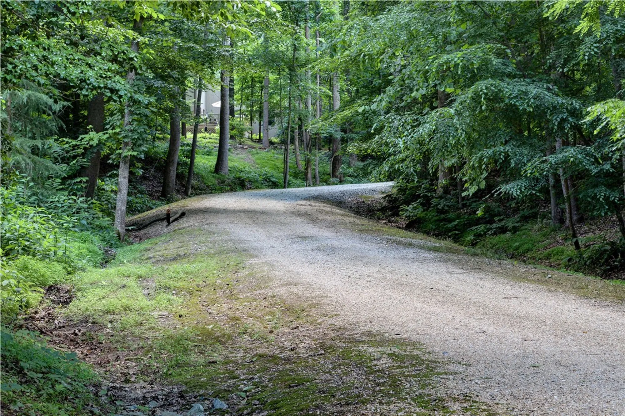 Property Slideshow image 38 of 41 | 733 e tazewells way, Williamsburg, VA, 23185