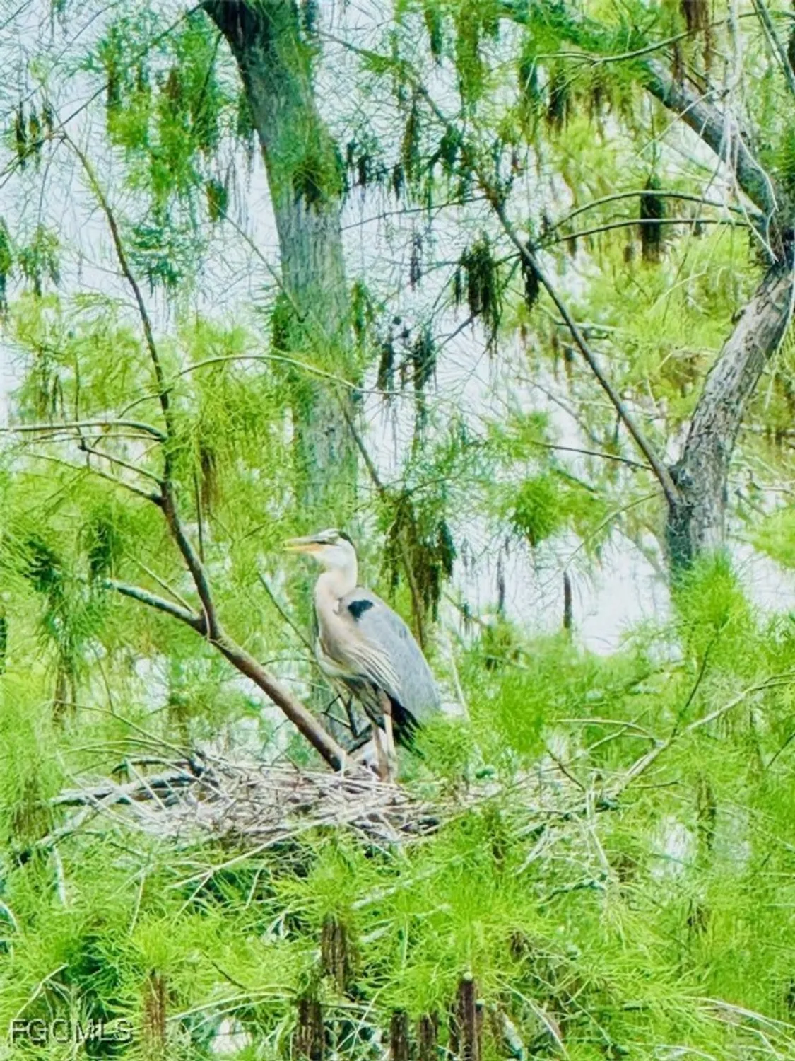 Property Slideshow image 49 of 52 | 10386 materita dr, Fort Myers, FL, 33913