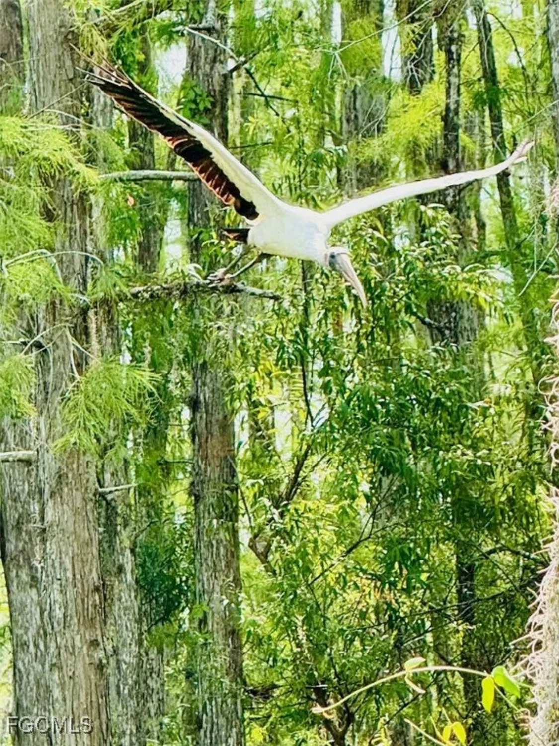 Property Slideshow image 50 of 52 | 10386 materita dr, Fort Myers, FL, 33913