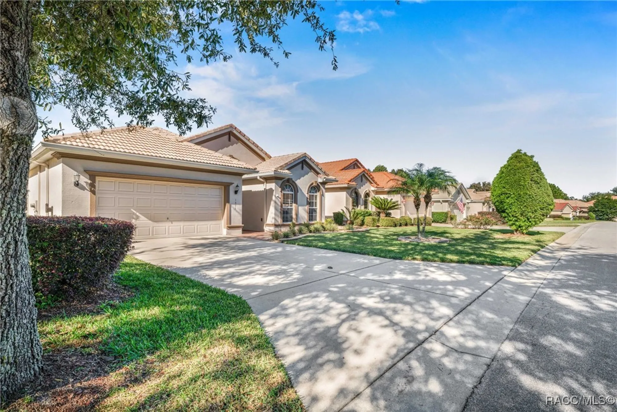 Property Slideshow image 3 of 56 | 1311 w skyview crossing dr, Hernando, FL, 34442