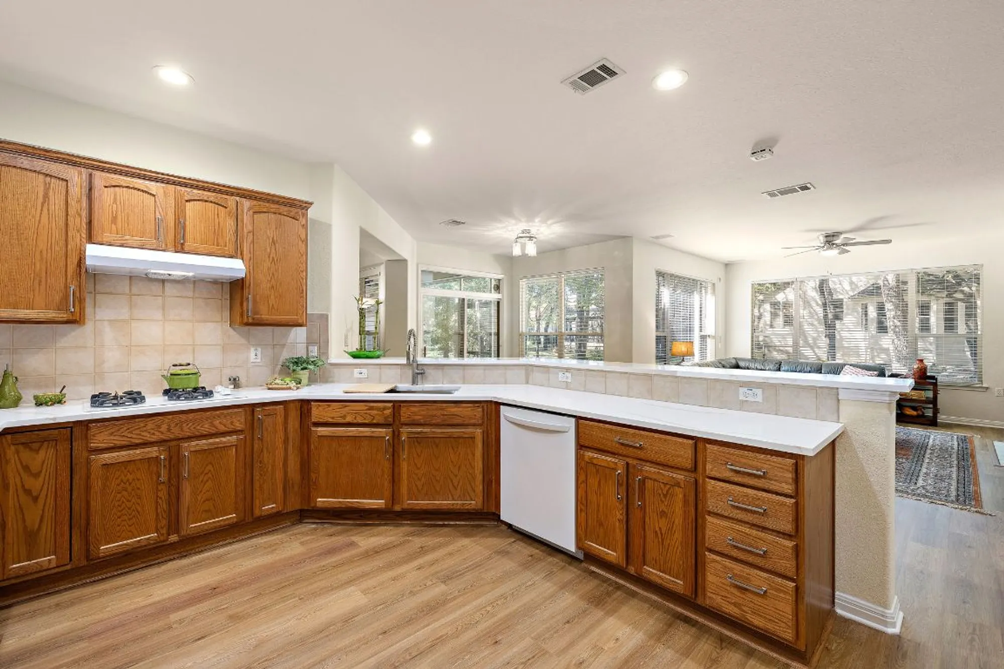 Property Slideshow image 15 of 30 | 134 great frontier dr, Georgetown, TX, 78633