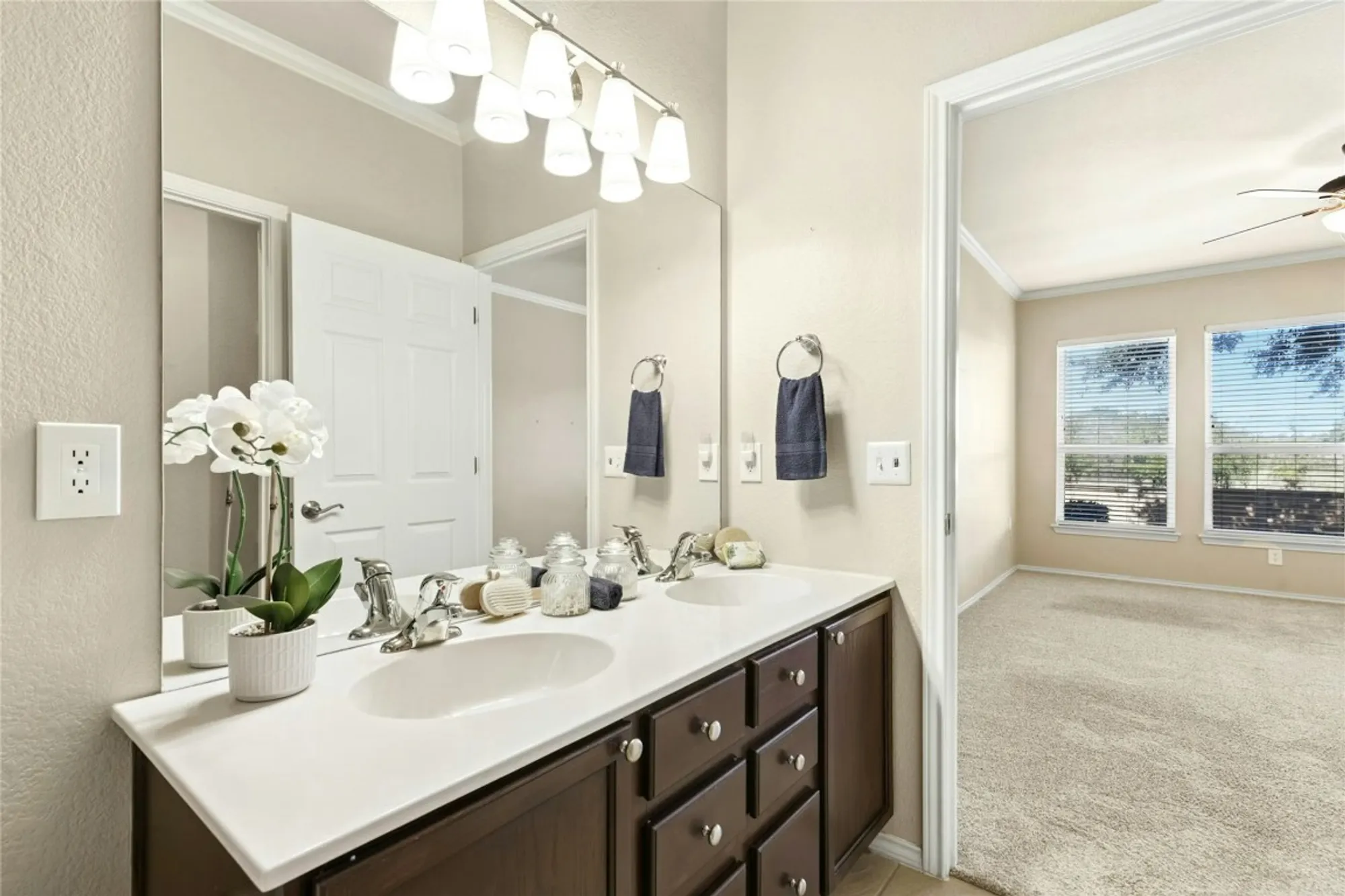 Property Slideshow image 17 of 25 | 215 bonham loop, Georgetown, TX, 78633