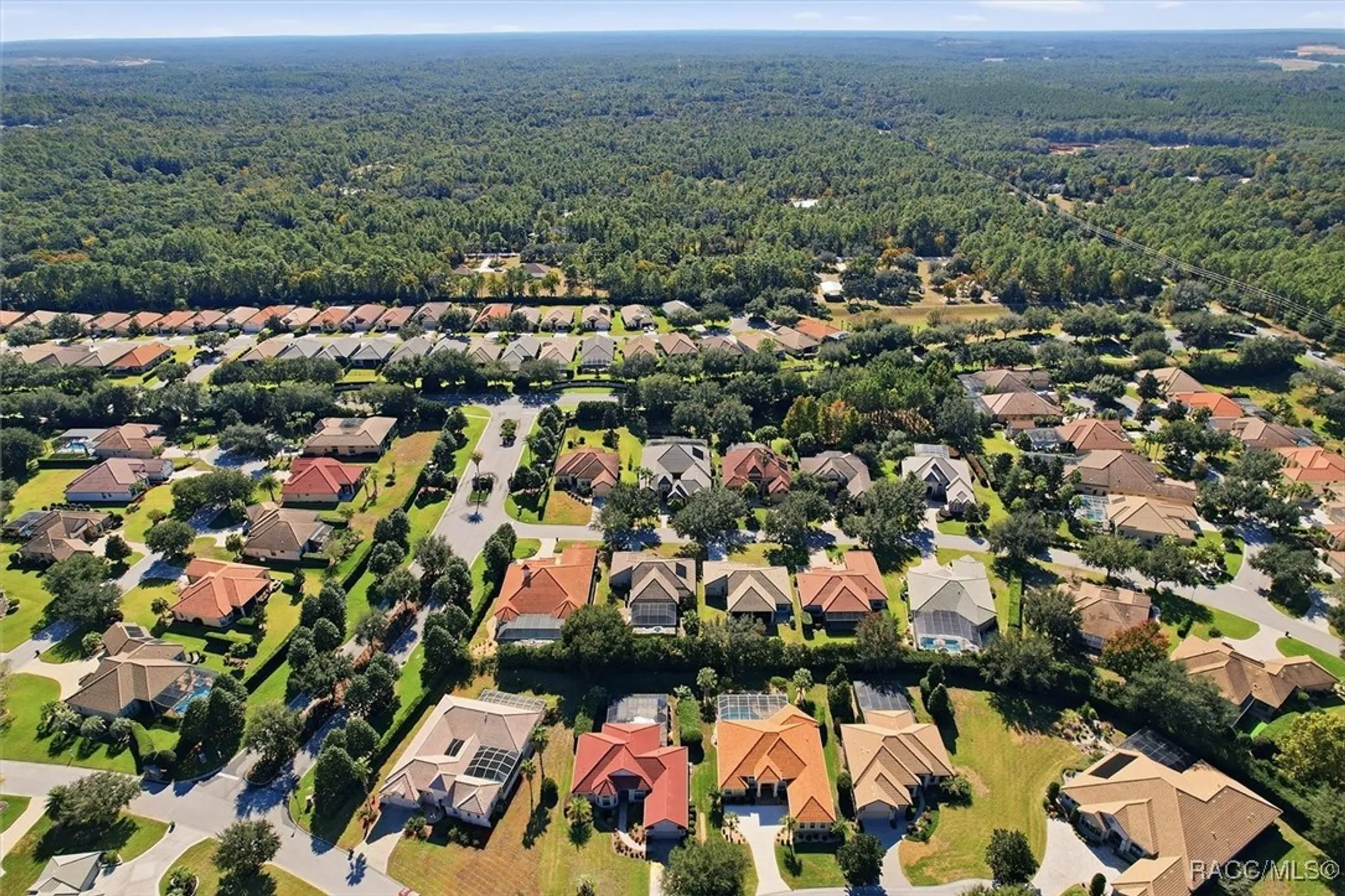 Property Slideshow image 71 of 88 | 1404 n ridge meadow path, Hernando, FL, 34442