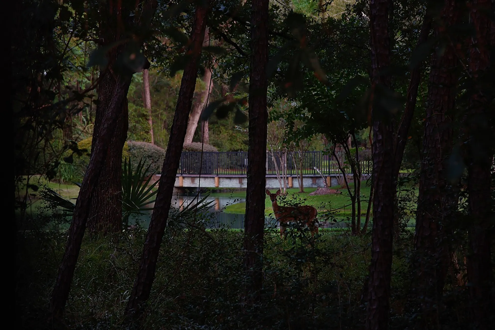 Property Slideshow image 30 of 47 | 7 sovereign way, Conroe, TX, 77384