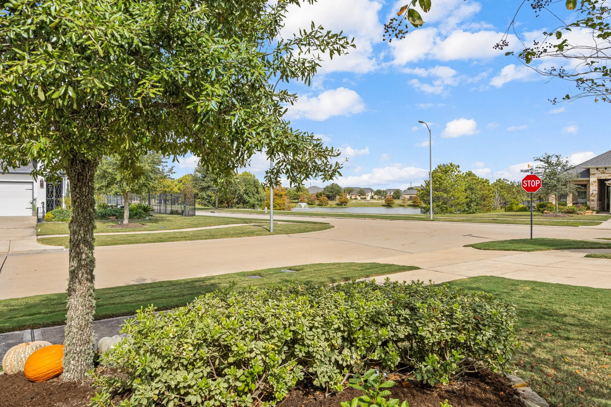 Property Slideshow image 28 of 30 | 29007 coffee mill ln, Fulshear, TX, 77441