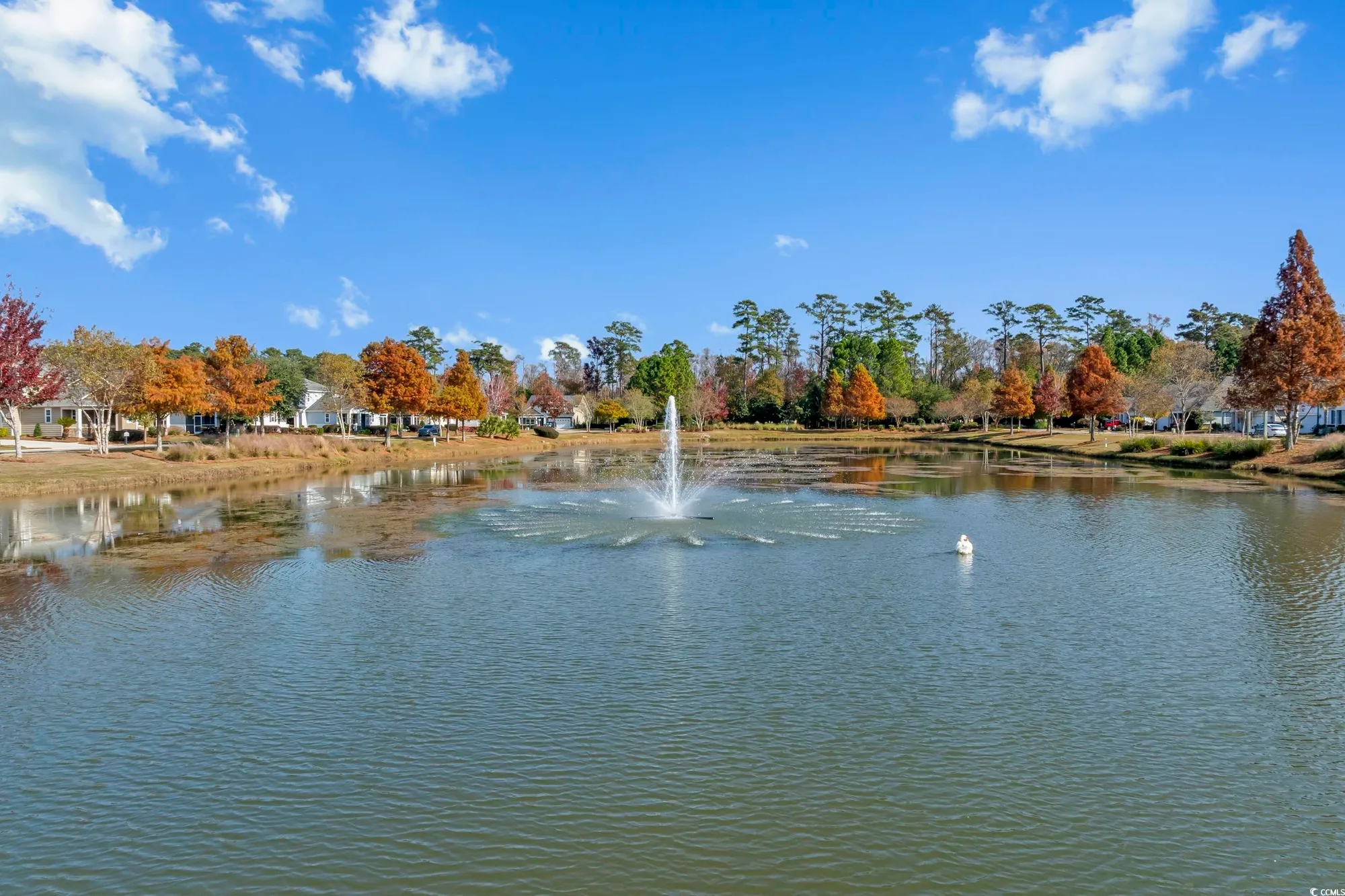 Property Slideshow image 32 of 39 | 1869 culbertson ave # 1869, Myrtle Beach, SC, 29577