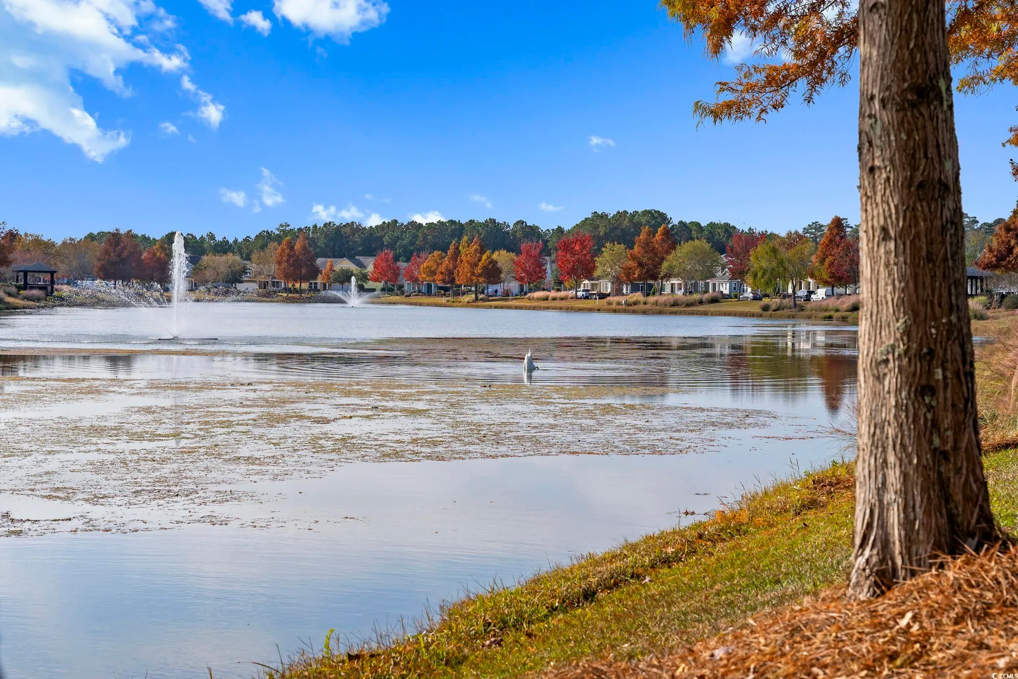 Property Slideshow image 33 of 39 | 1869 culbertson ave # 1869, Myrtle Beach, SC, 29577