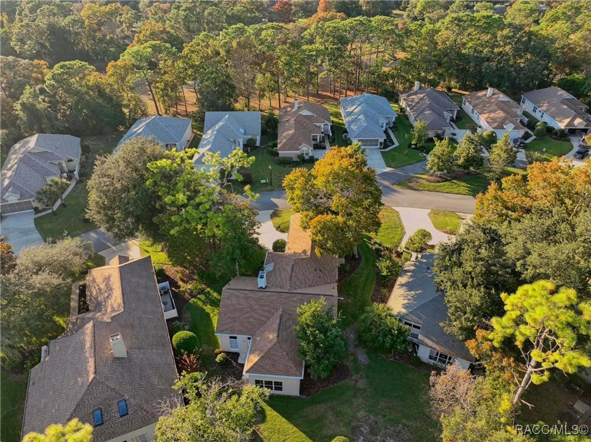 Property Slideshow image 45 of 47 | 5 w byrsonima loop, Homosassa, FL, 34446