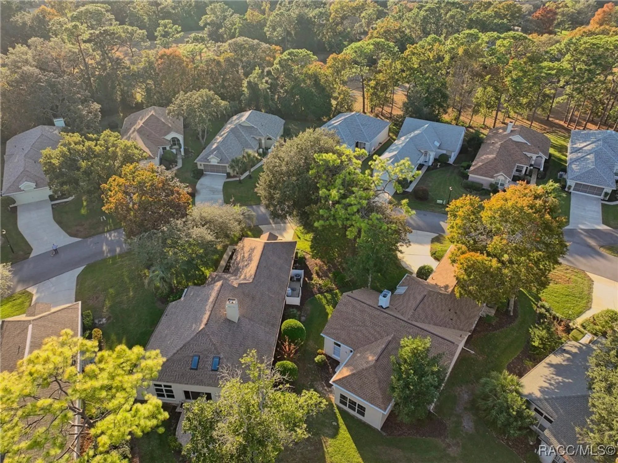 Property Slideshow image 46 of 47 | 5 w byrsonima loop, Homosassa, FL, 34446