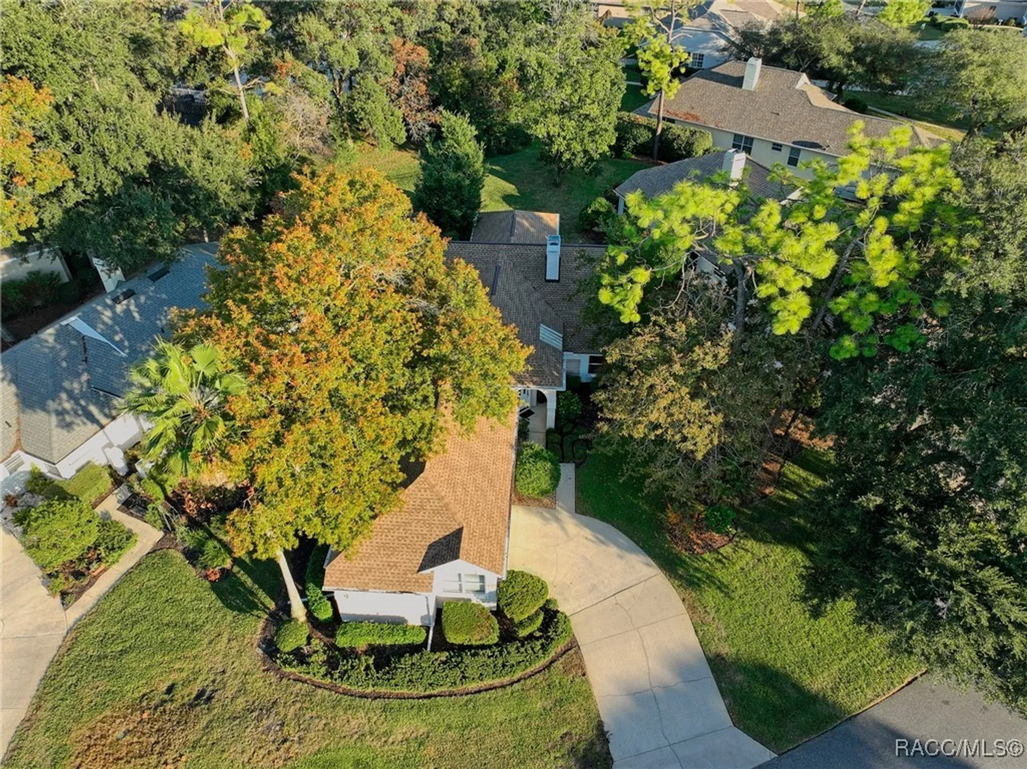 Property Slideshow image 40 of 47 | 5 w byrsonima loop, Homosassa, FL, 34446