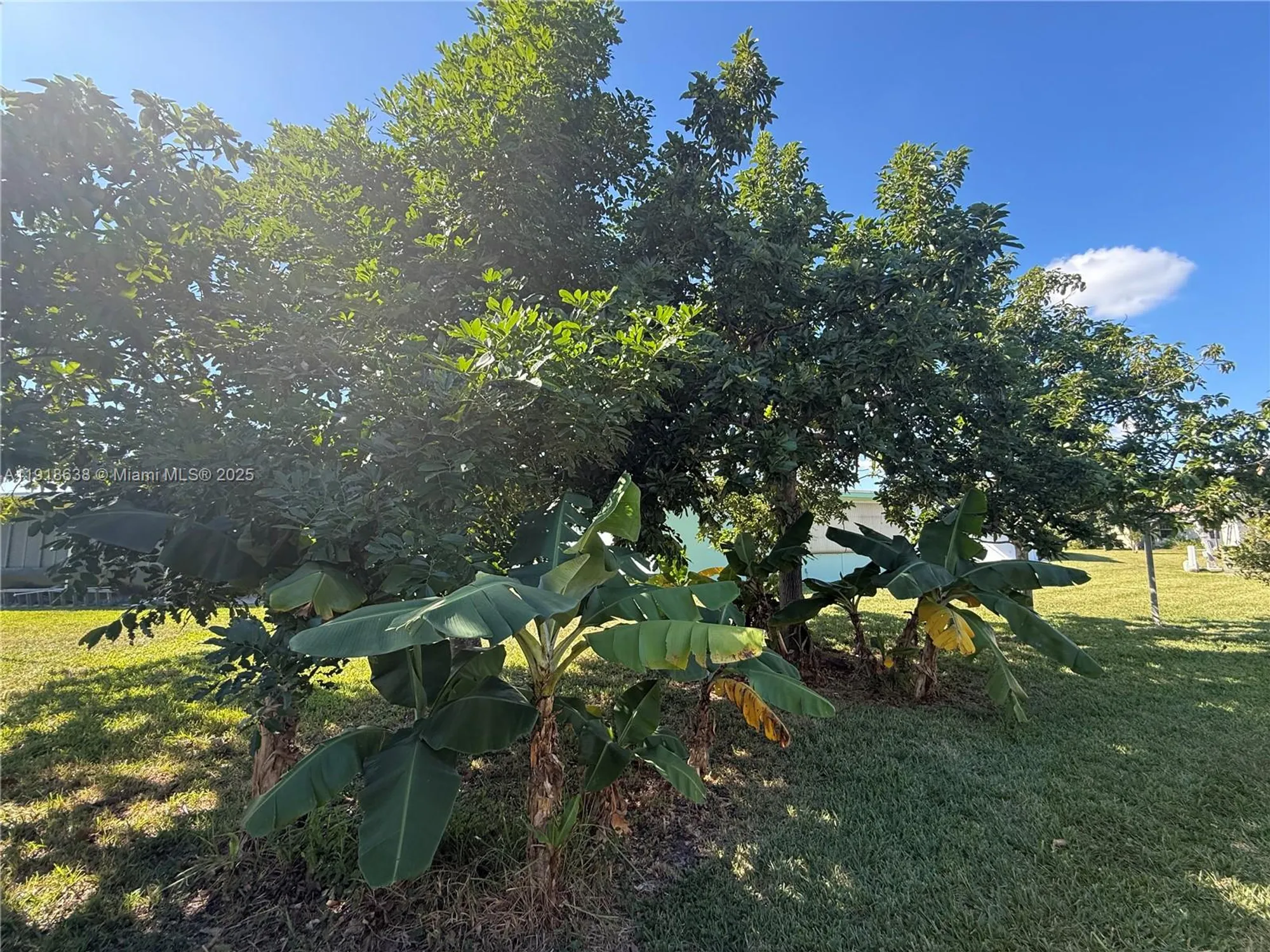 Property Slideshow image 29 of 29 | 4805 highland dr, Tamarac, FL, 33319