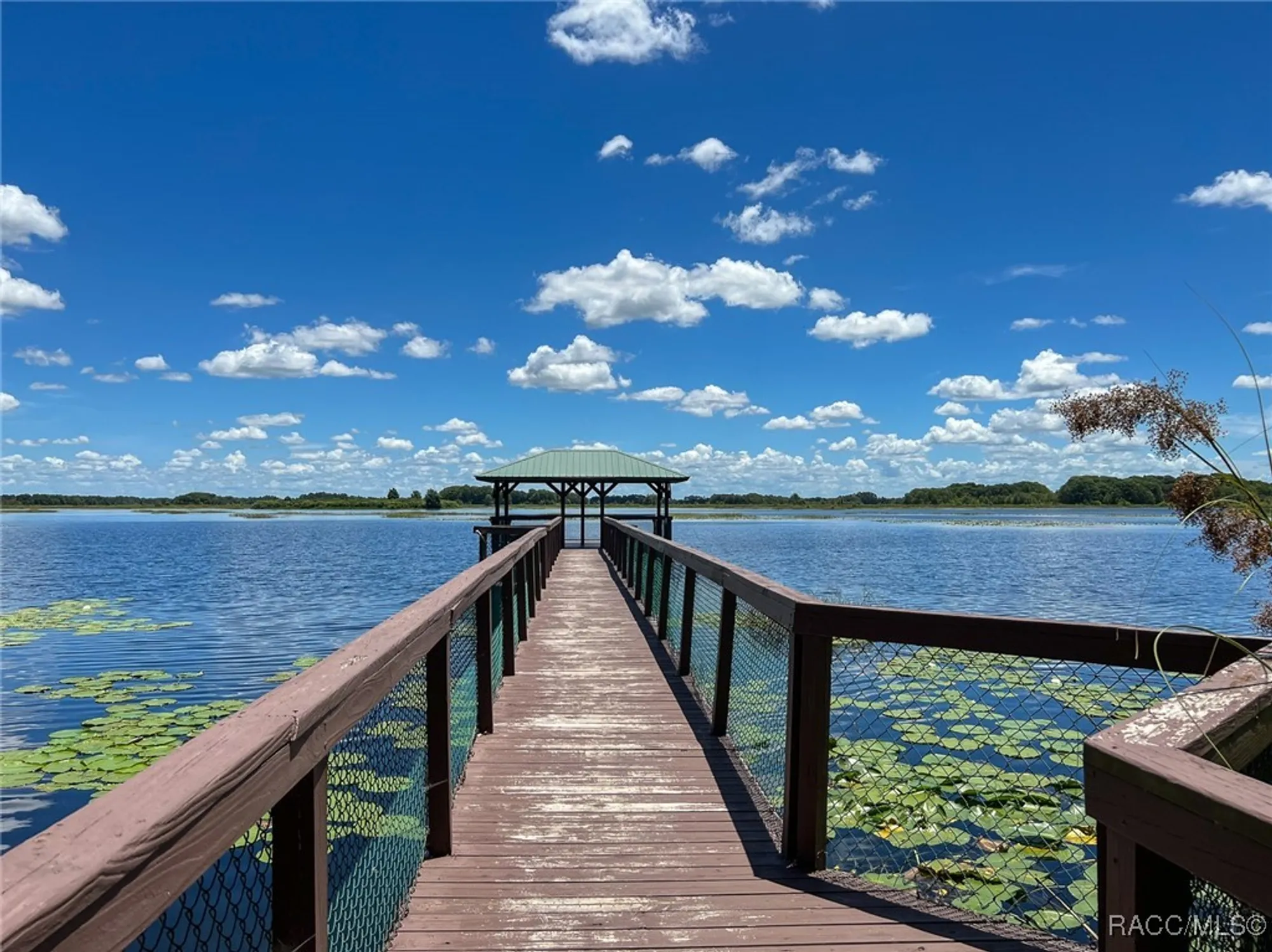 Property Slideshow image 29 of 36 | 4525 n grass island ter, Hernando, FL, 34442