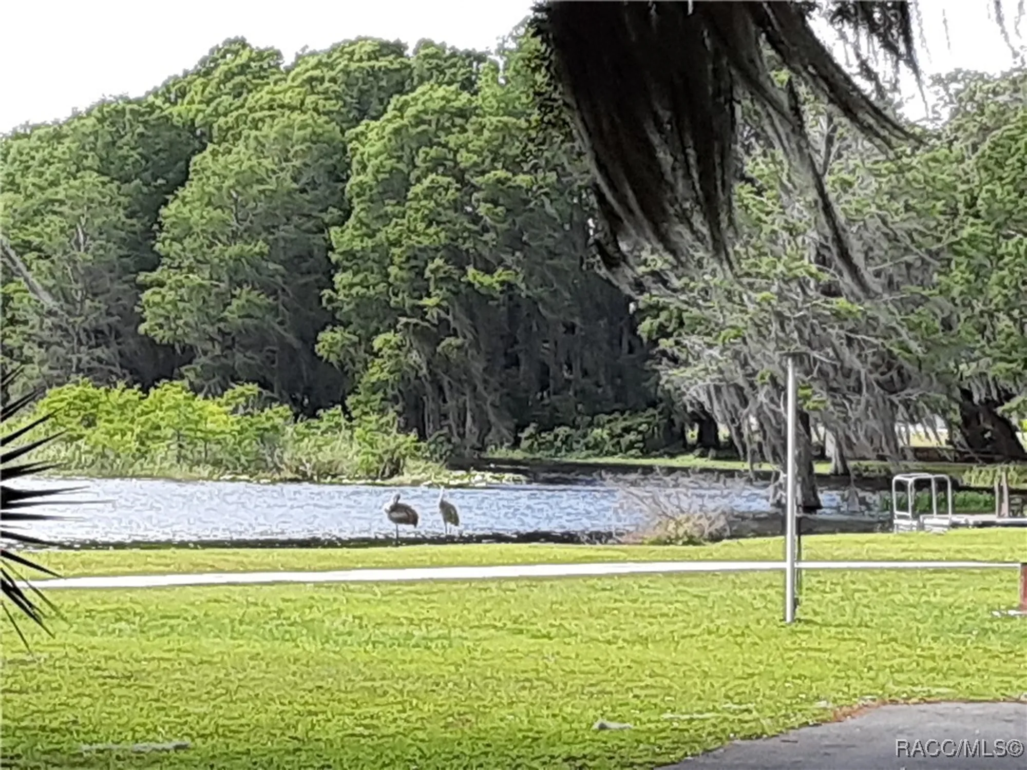 Property Slideshow image 31 of 36 | 4525 n grass island ter, Hernando, FL, 34442