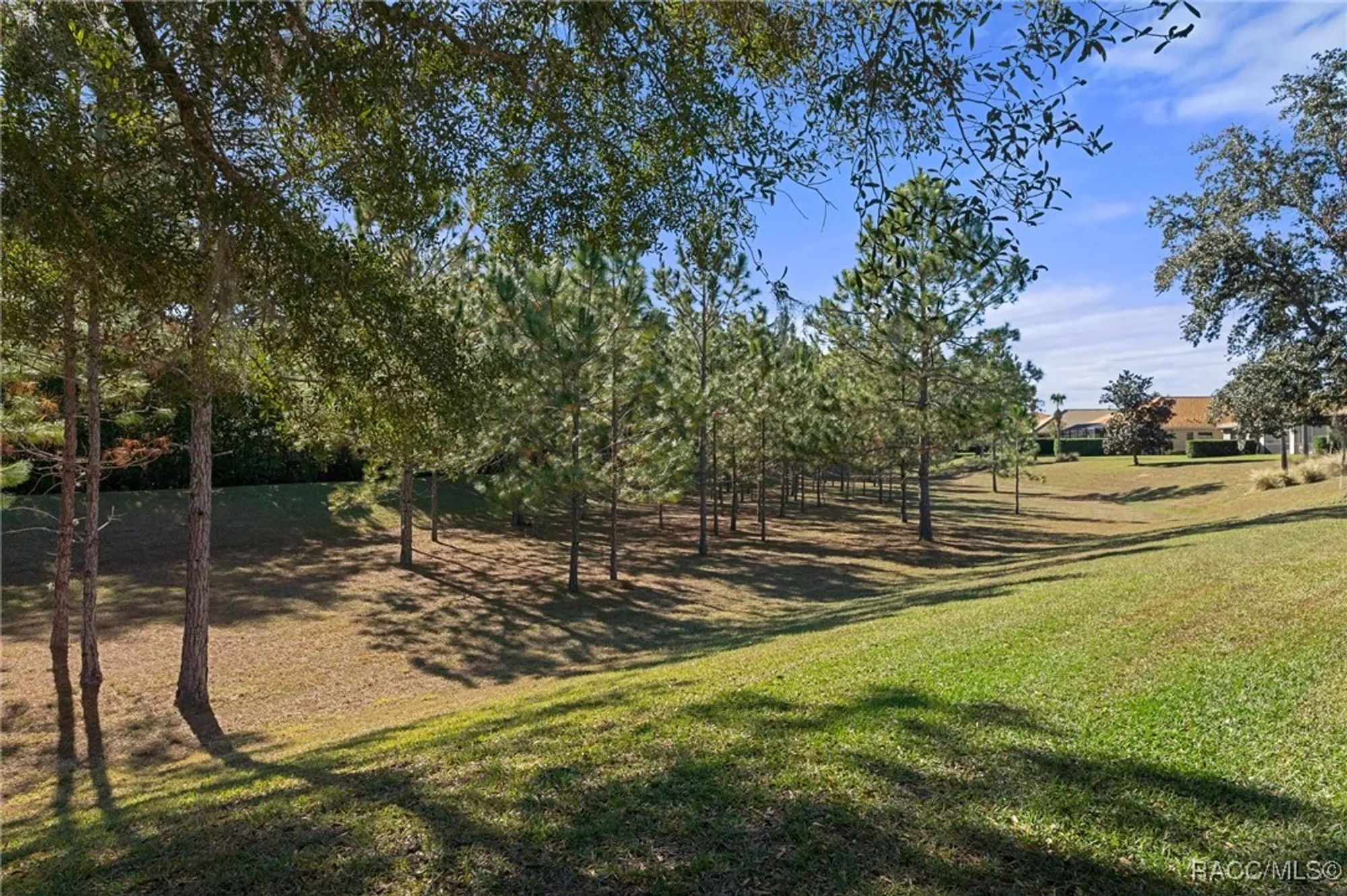 Property Slideshow image 54 of 77 | 1454 w laurel glen path, Hernando, FL, 34442