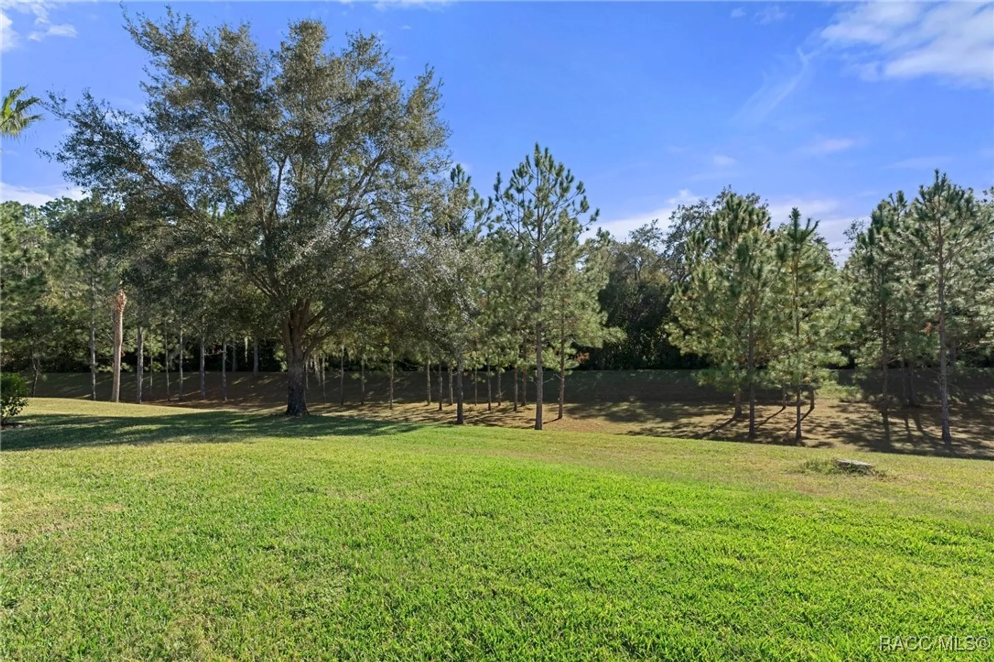 Property Slideshow image 51 of 77 | 1454 w laurel glen path, Hernando, FL, 34442