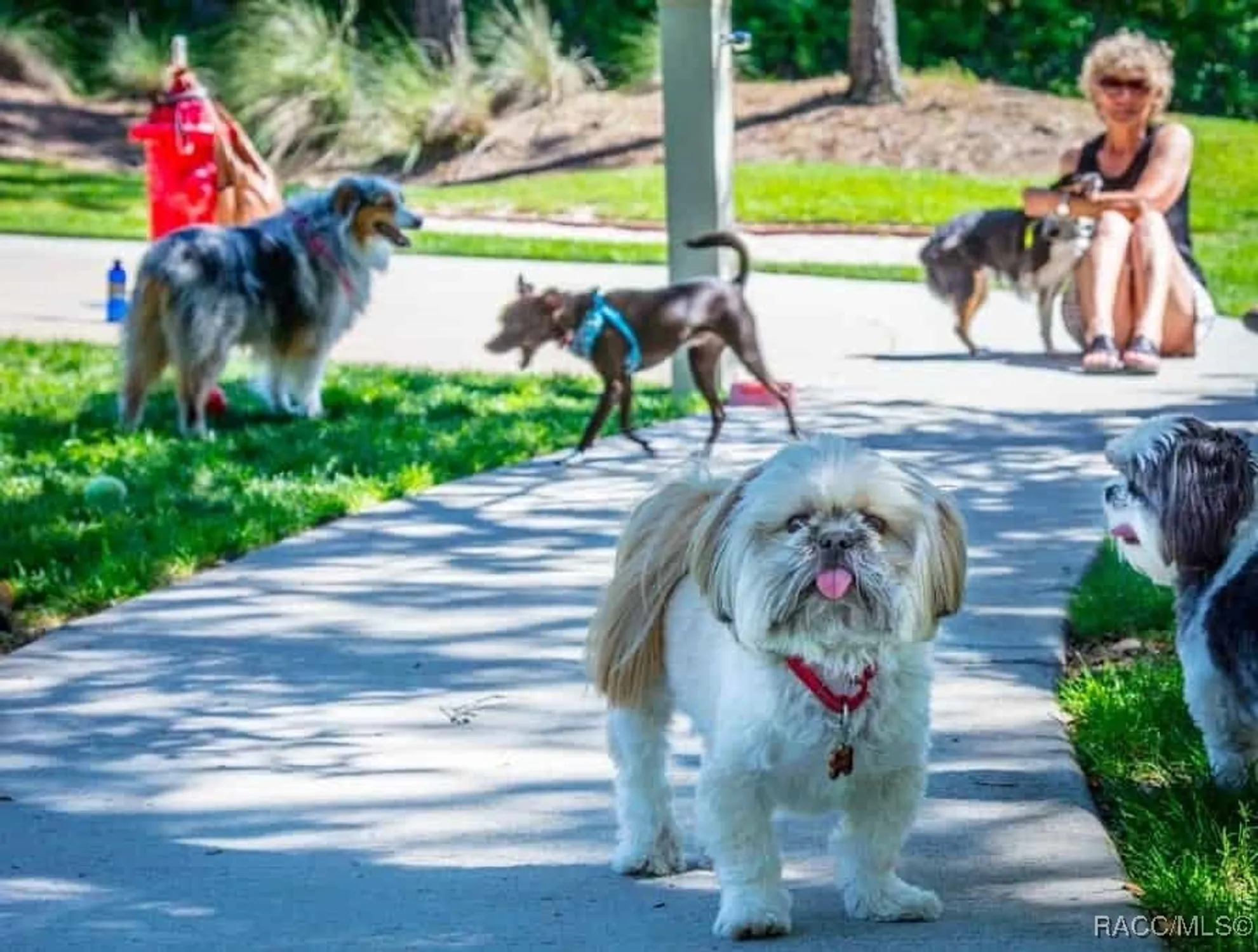 Property Slideshow image 76 of 77 | 1454 w laurel glen path, Hernando, FL, 34442