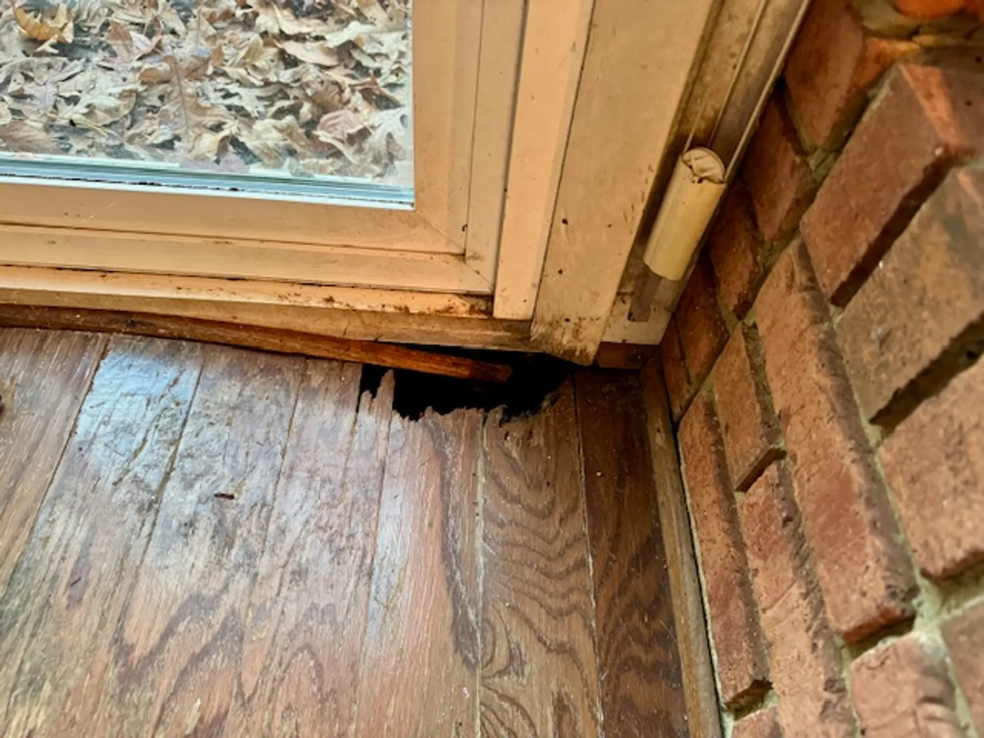 Property Slideshow image 7 of 21 | 220 richard burbydge, Williamsburg, VA, 23185