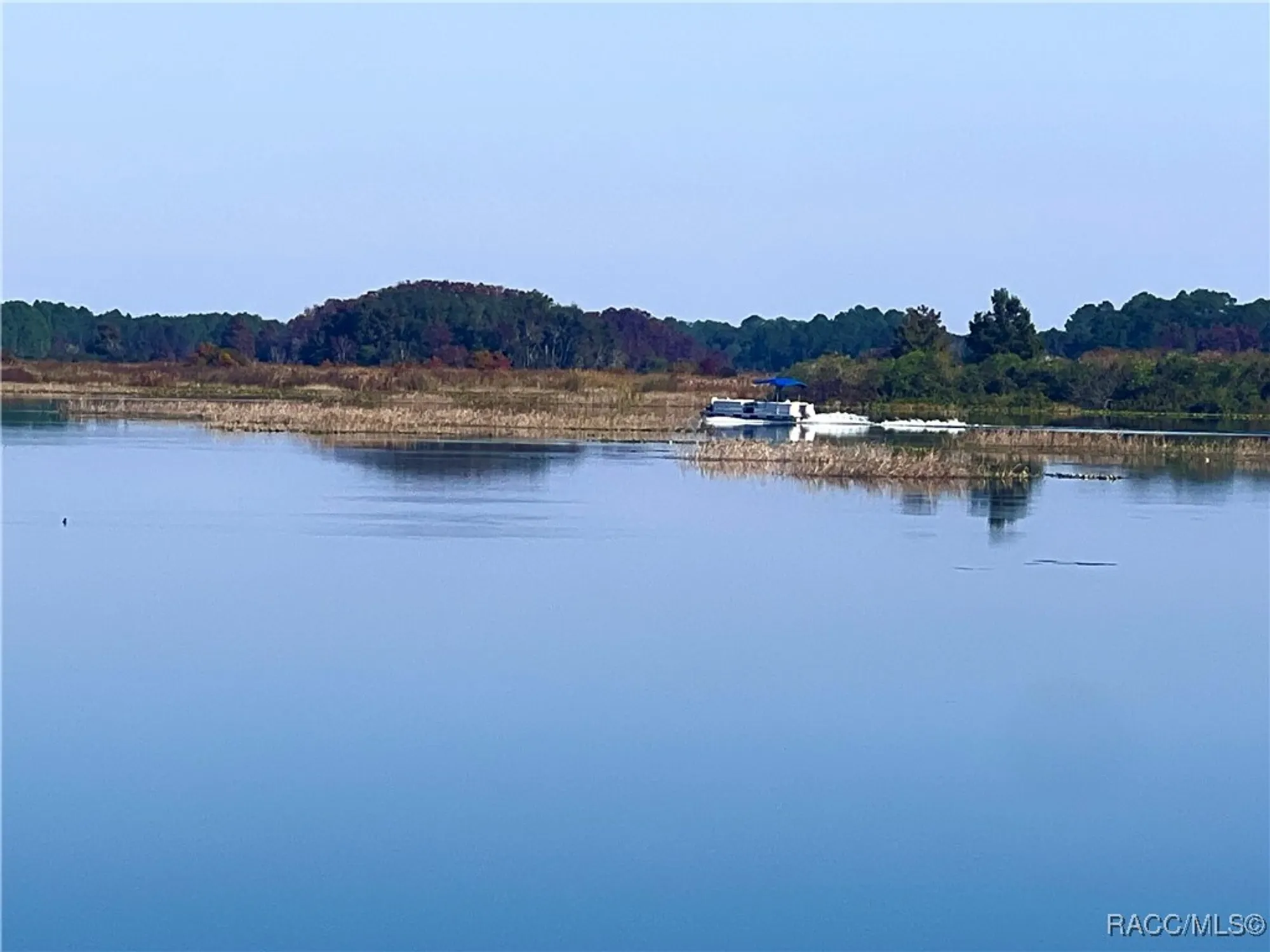 Property Slideshow image 38 of 42 | 3682 e lake todd dr, Hernando, FL, 34442