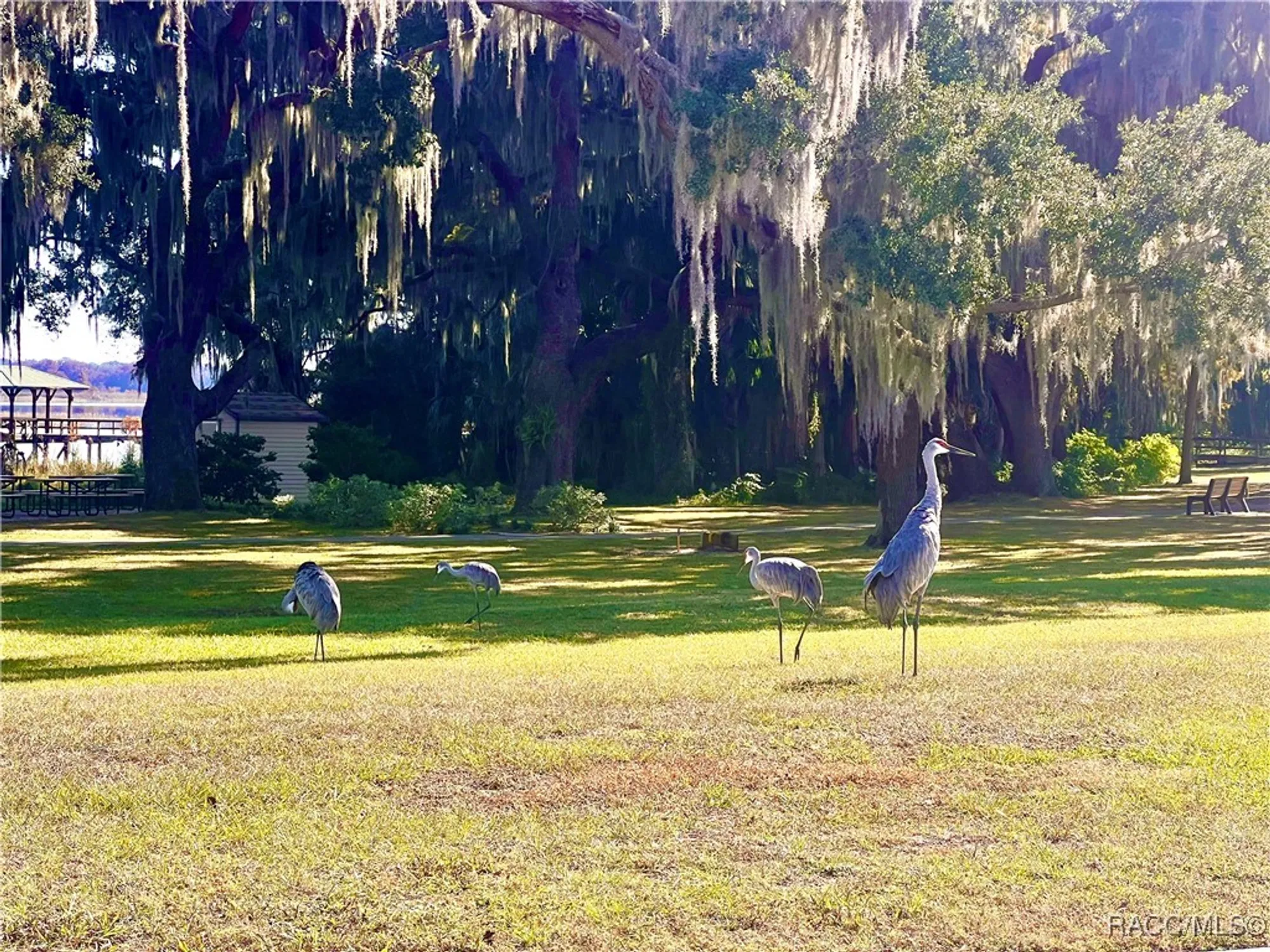 Property Slideshow image 39 of 42 | 3682 e lake todd dr, Hernando, FL, 34442