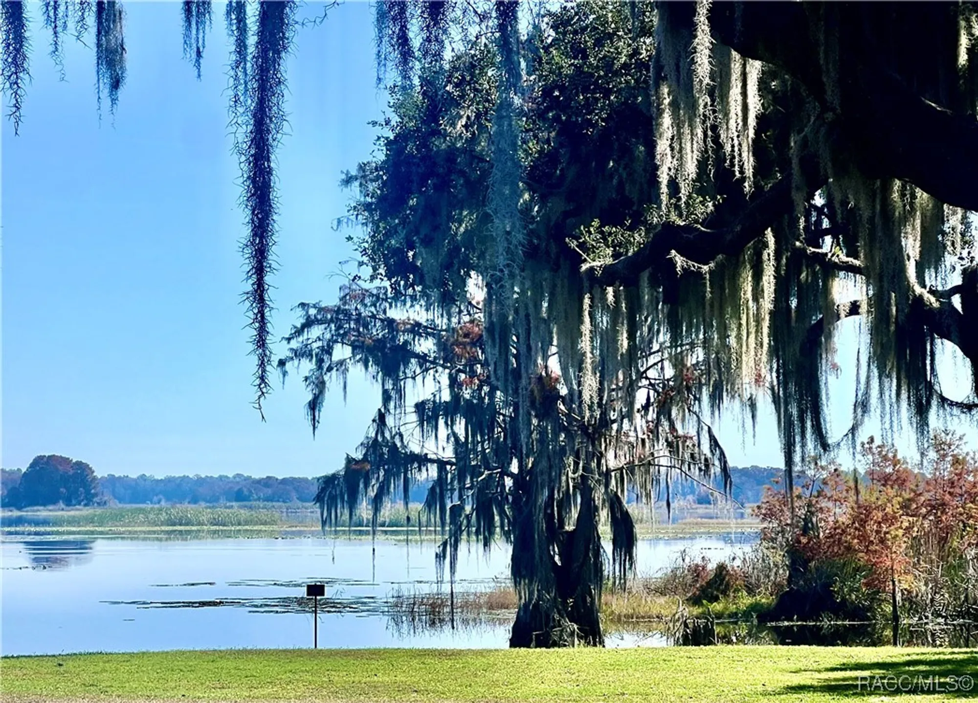 Property Slideshow image 31 of 42 | 3682 e lake todd dr, Hernando, FL, 34442