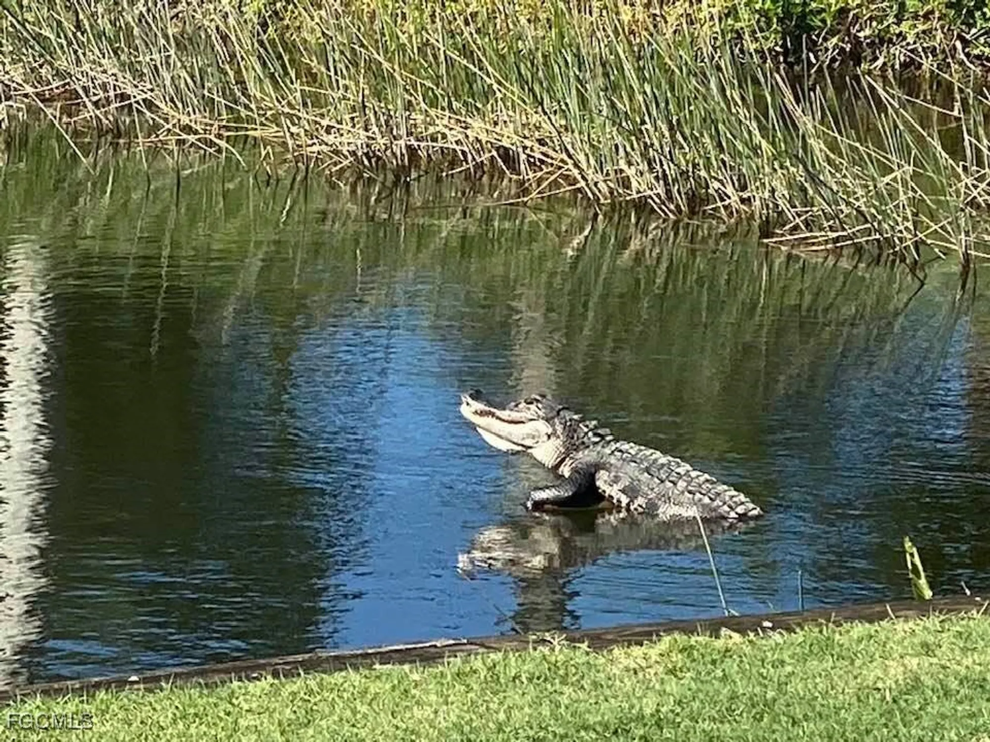 Property Slideshow image 28 of 35 | 10285 bismark palm way apt 1043, Fort Myers, FL, 33966