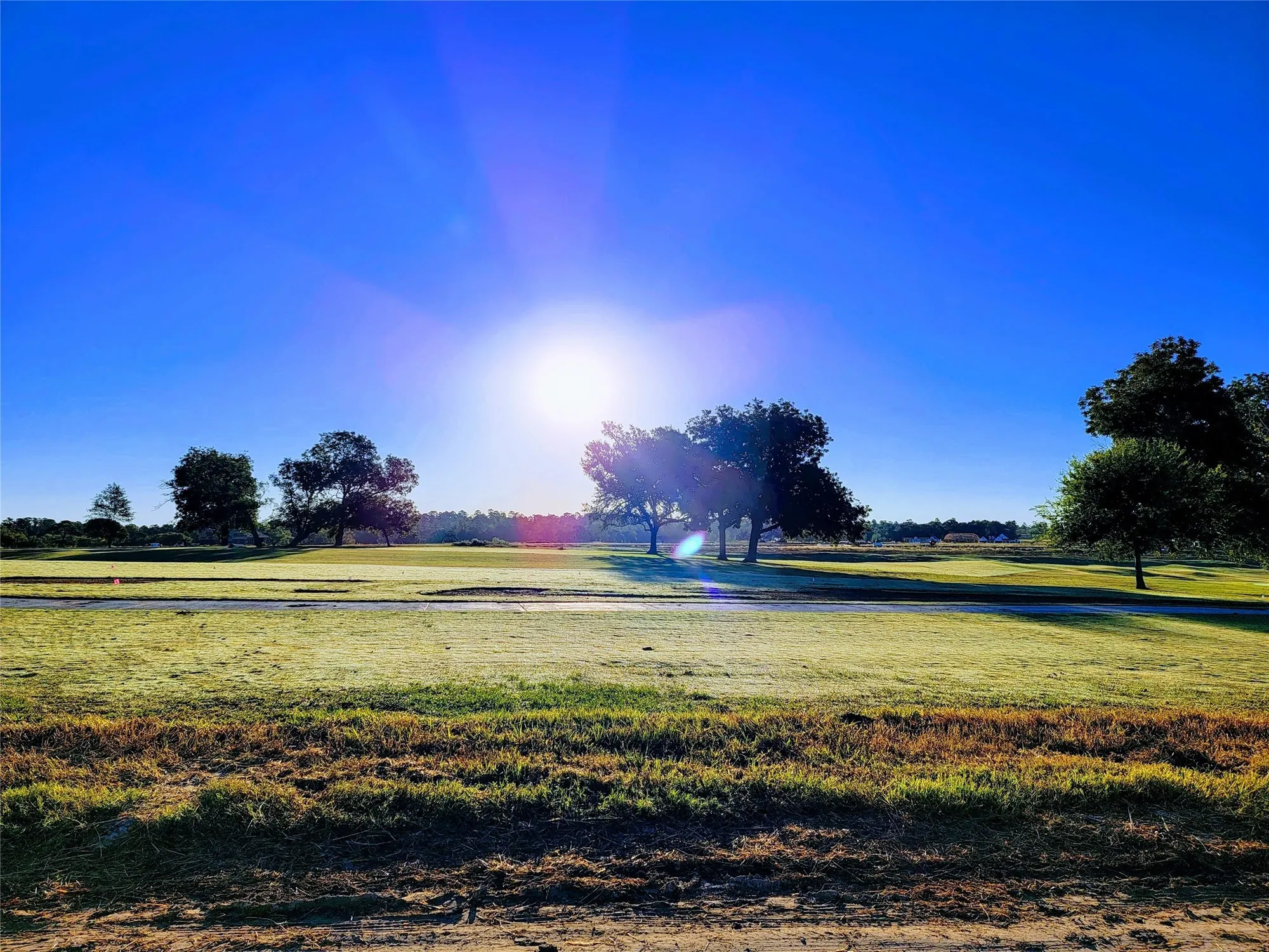 Property Slideshow image 26 of 26 | 14414 garden grove ct, Willis, TX, 77318